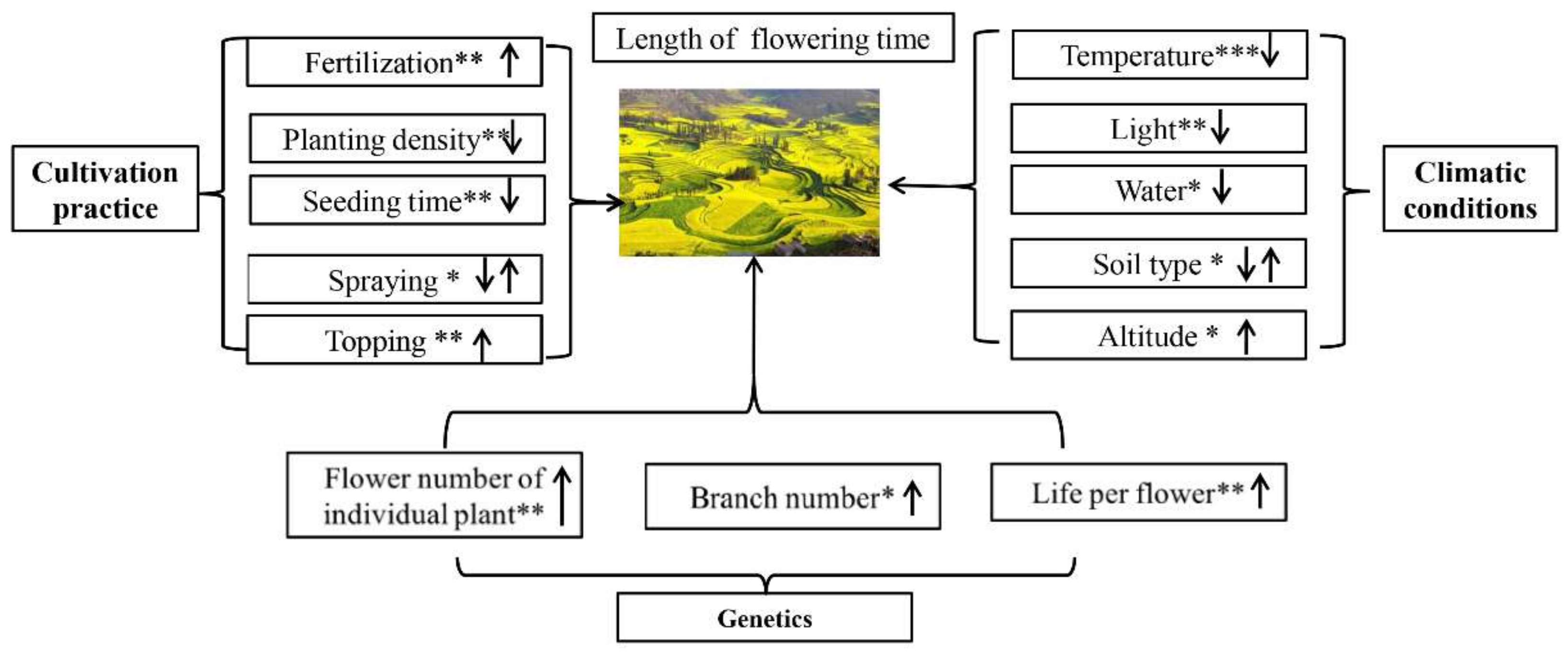 Horticulturae 08 00027 g001