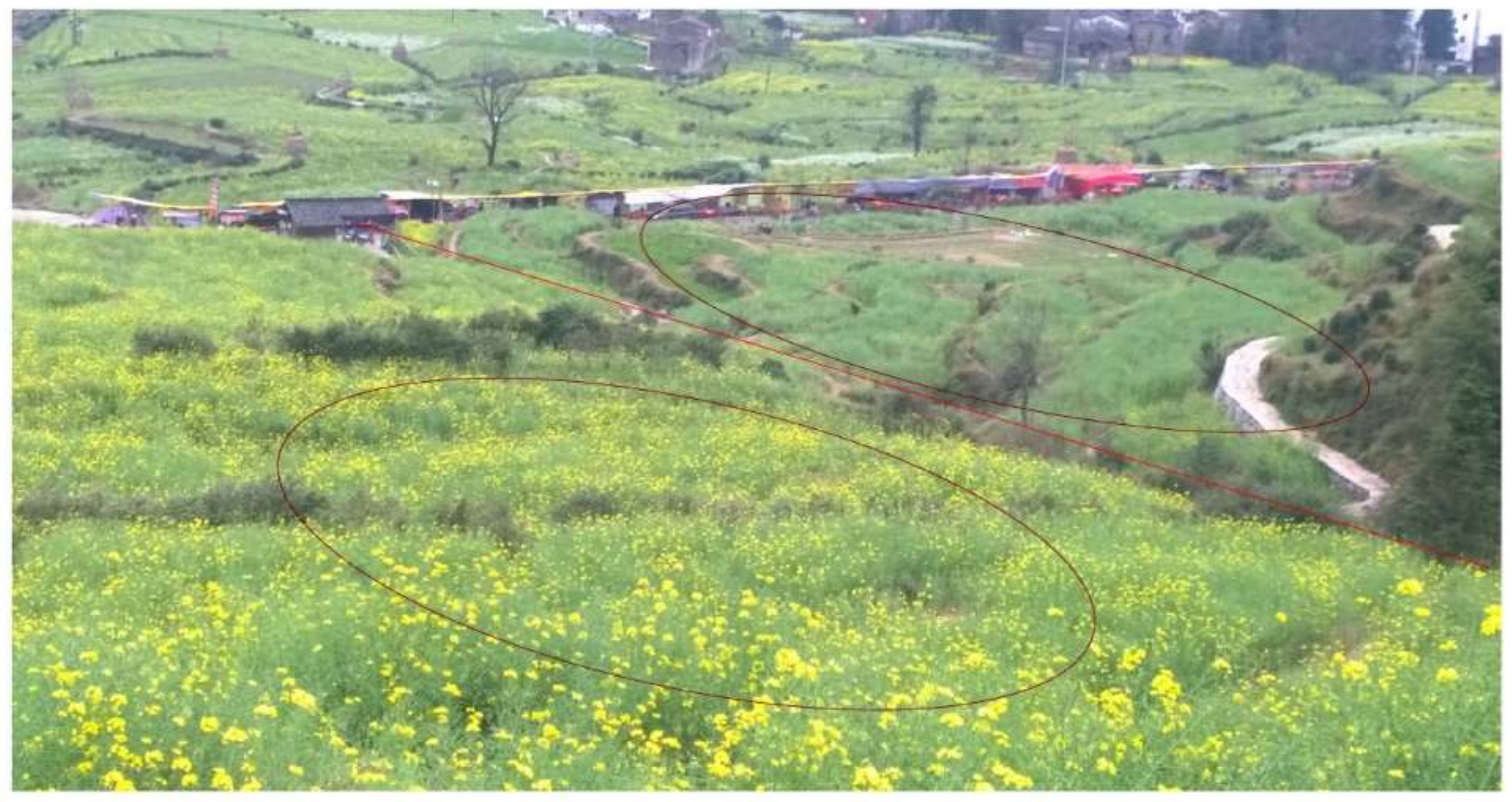 Horticulturae 08 00027 g002