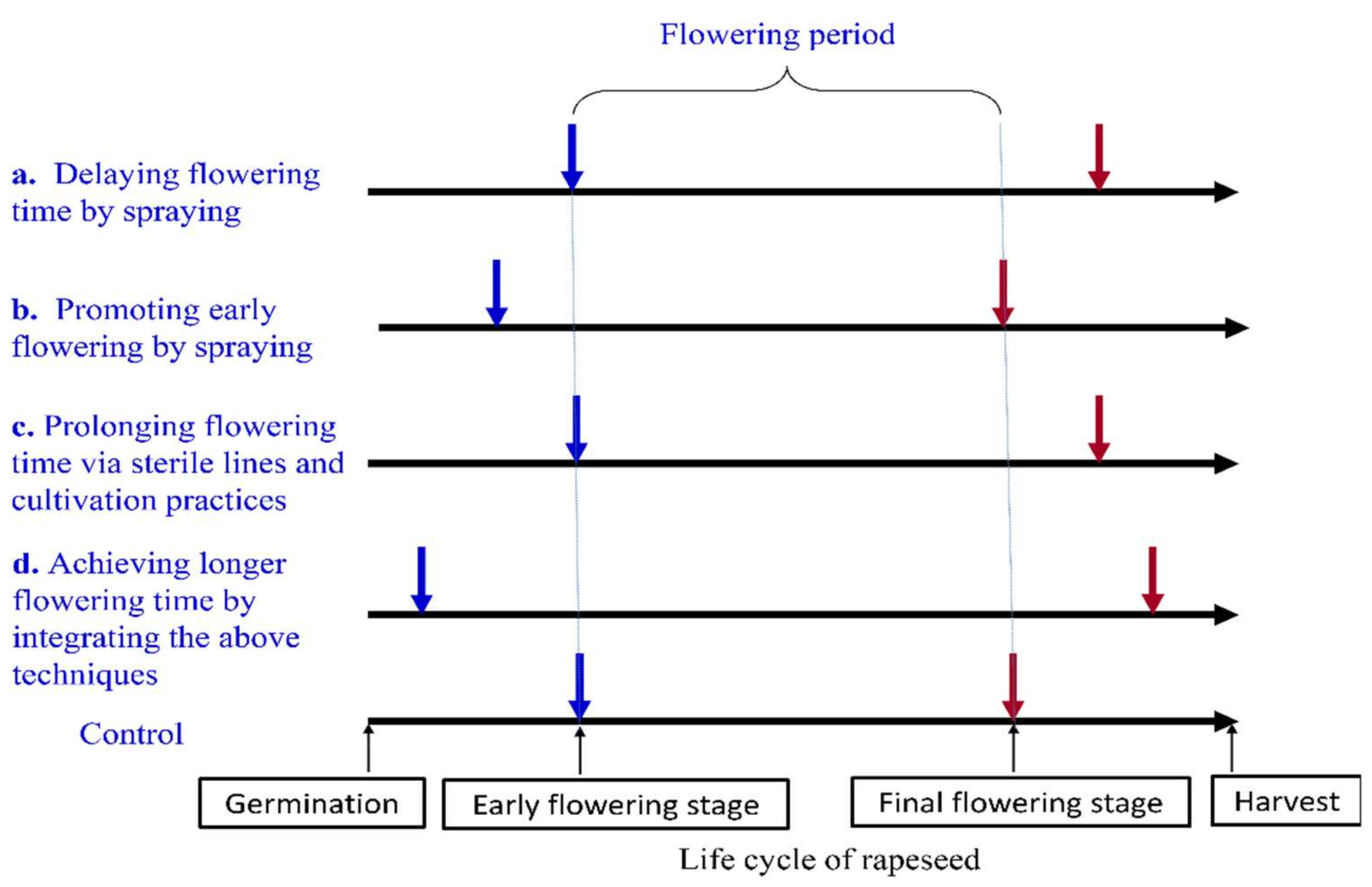 Horticulturae 08 00027 g004