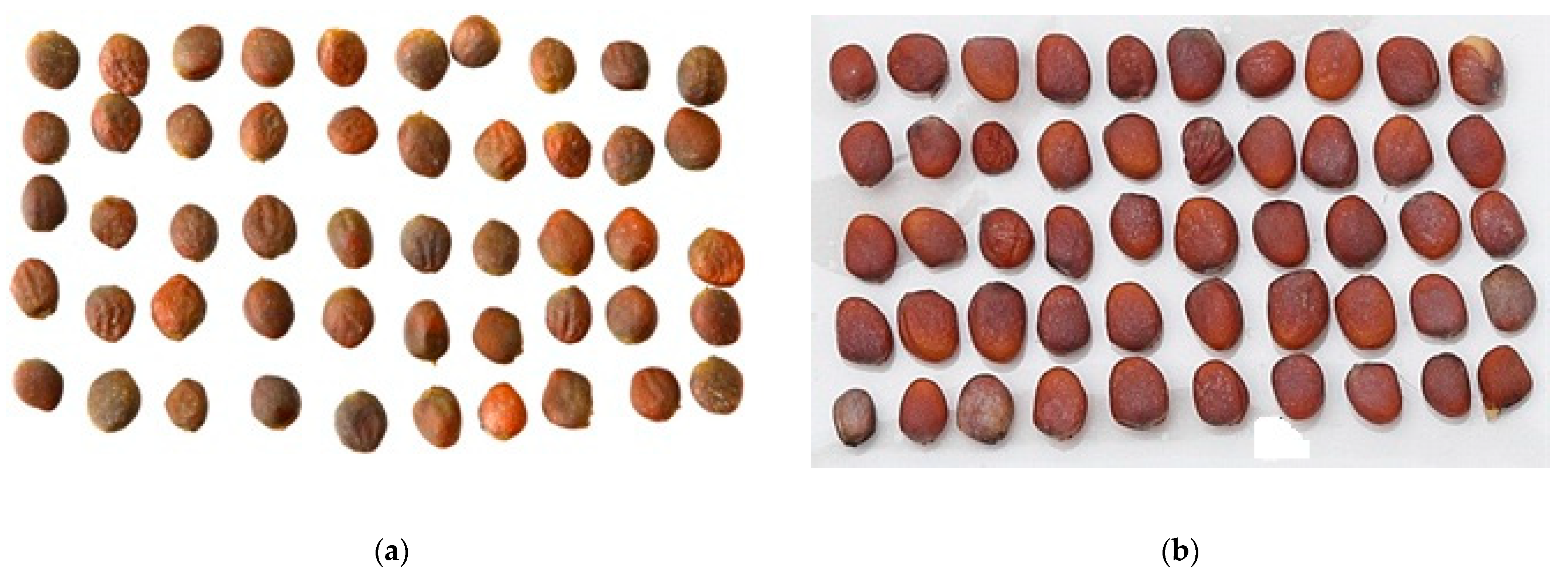 Horticulturae 08 00029 g001 Horticulturae 08 00029 g001