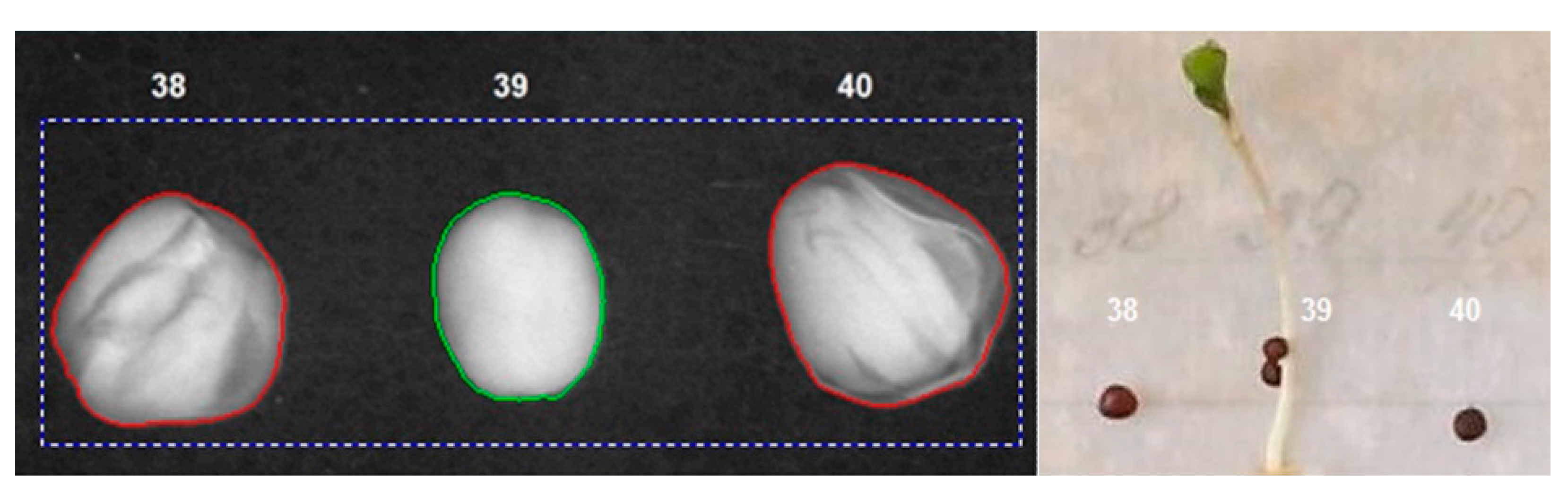 Horticulturae 08 00029 g006 Horticulturae 08 00029 g006