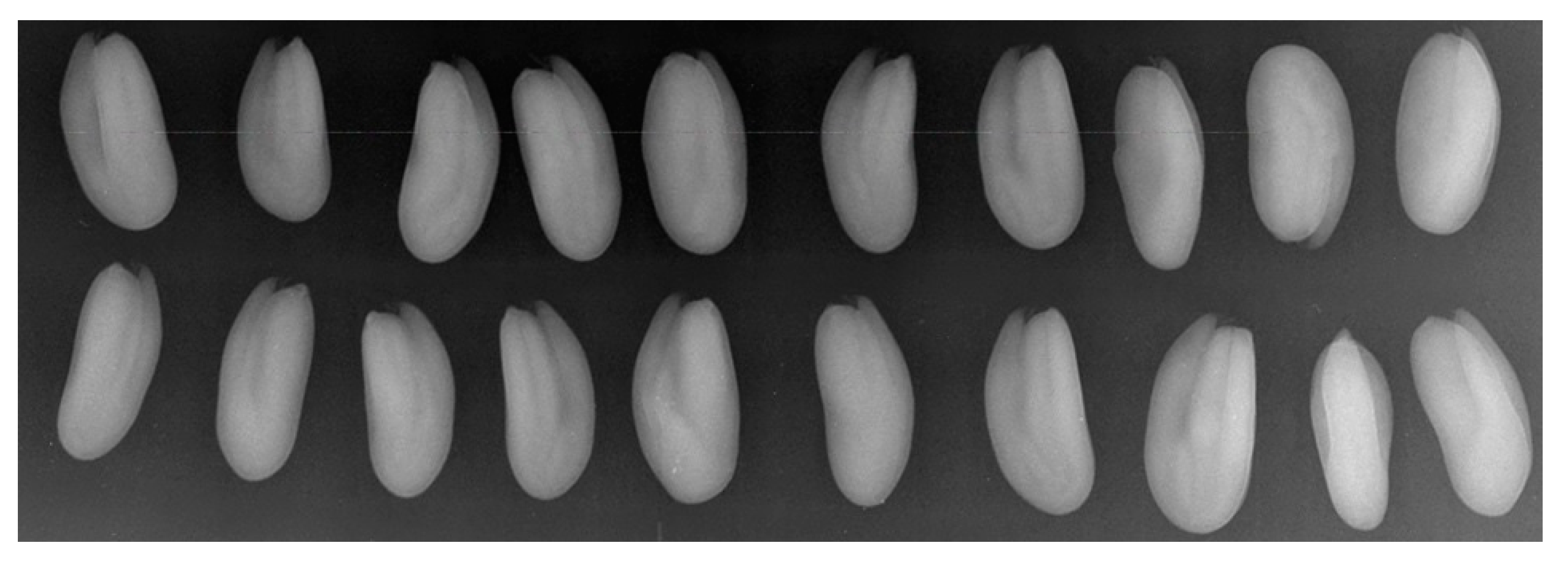 Horticulturae 08 00029 g011 Horticulturae 08 00029 g011