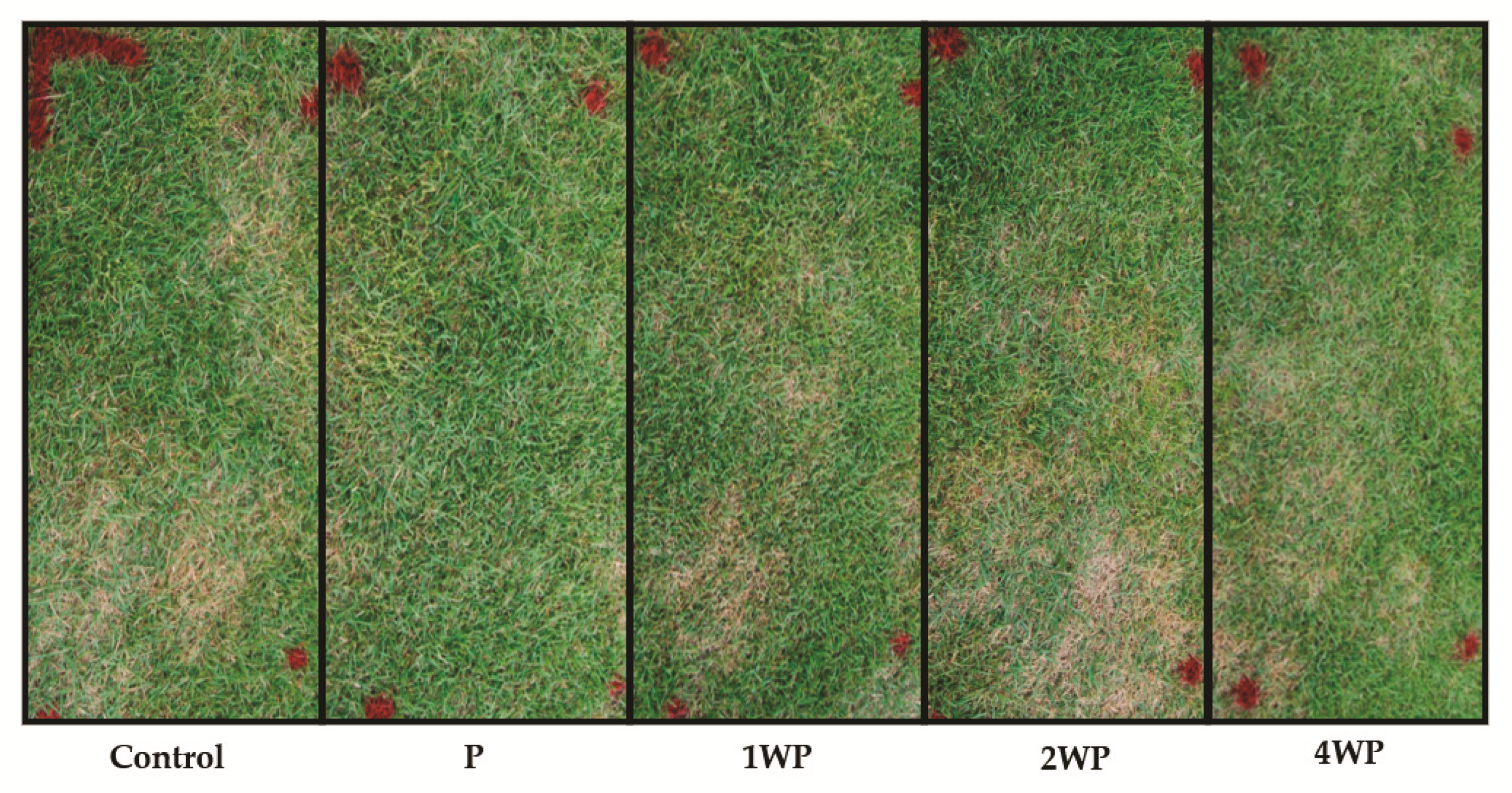 Horticulturae 08 00034 g005 Horticulturae 08 00034 g005