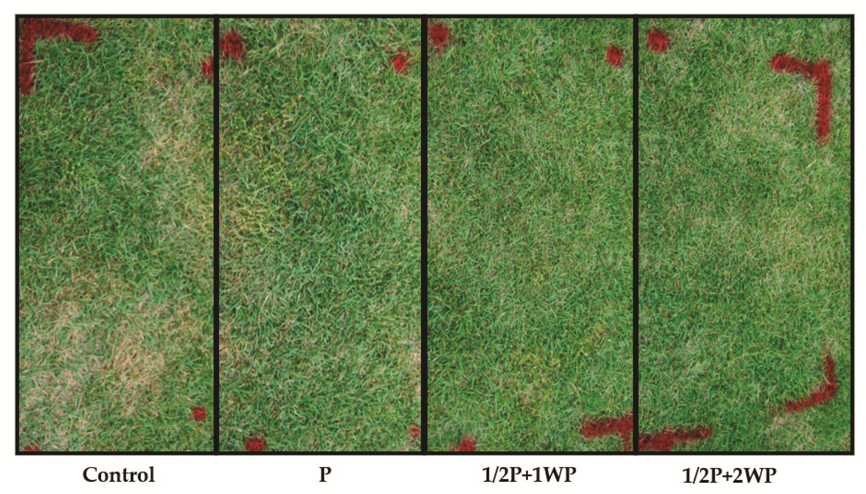 Horticulturae 08 00034 g006 Horticulturae 08 00034 g006
