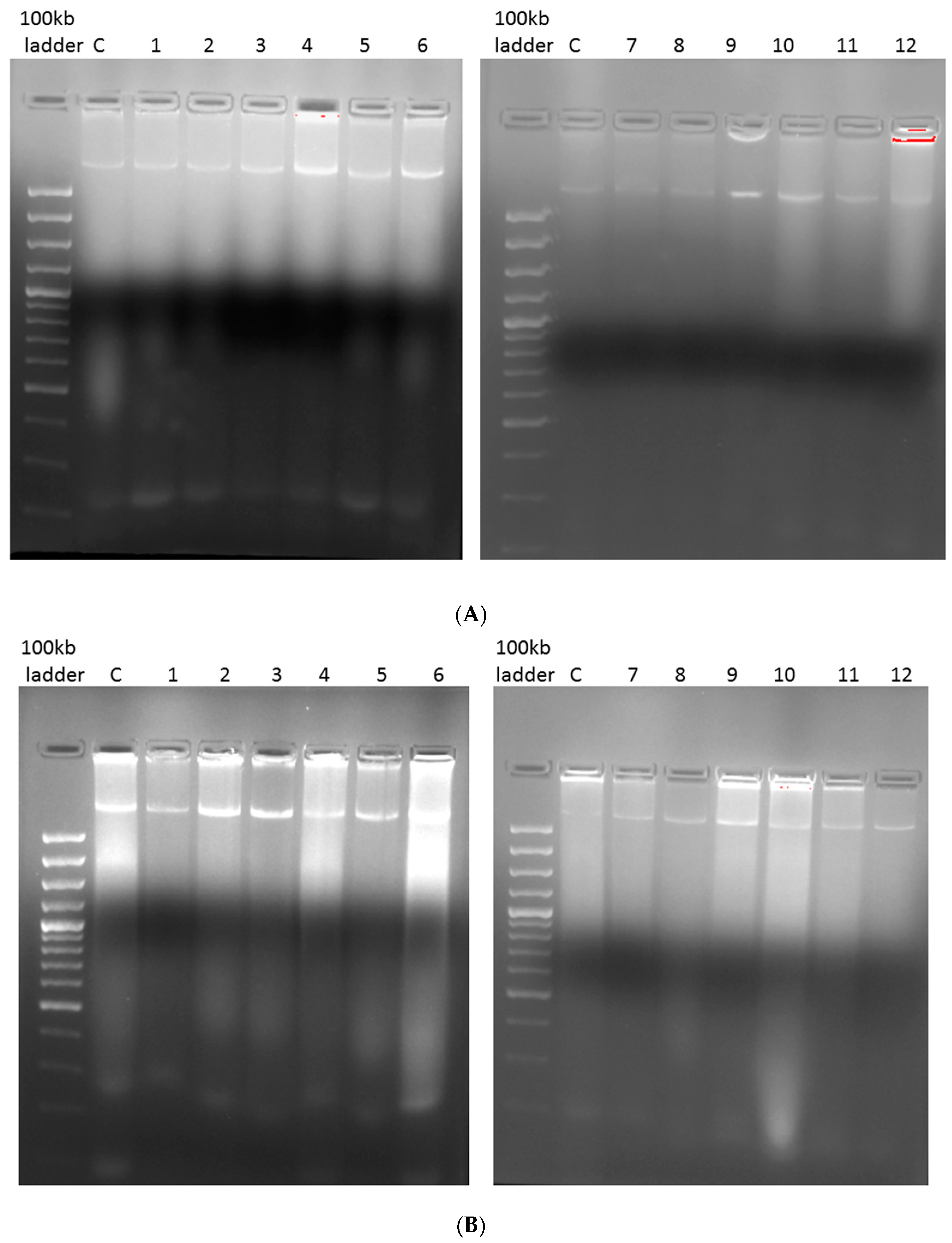 Horticulturae 08 00037 g006