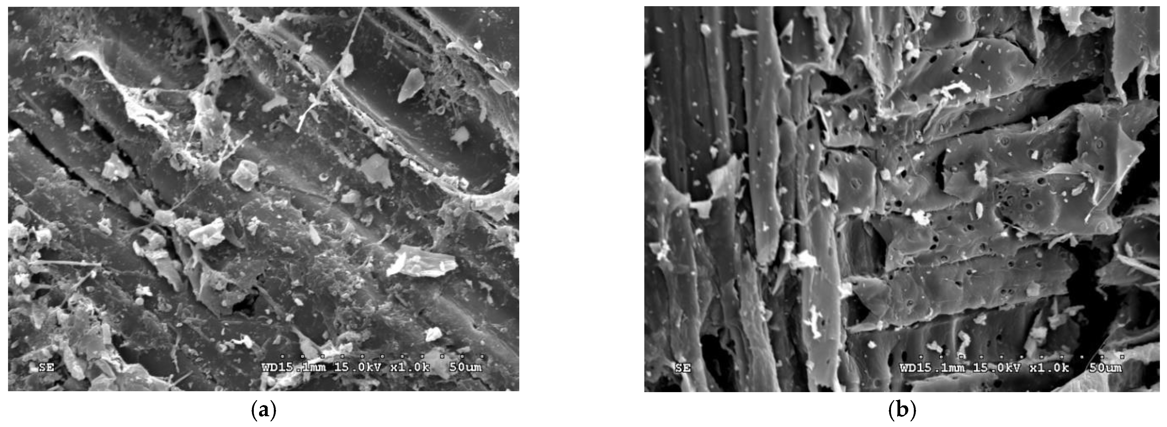 Horticulturae 08 00046 g005