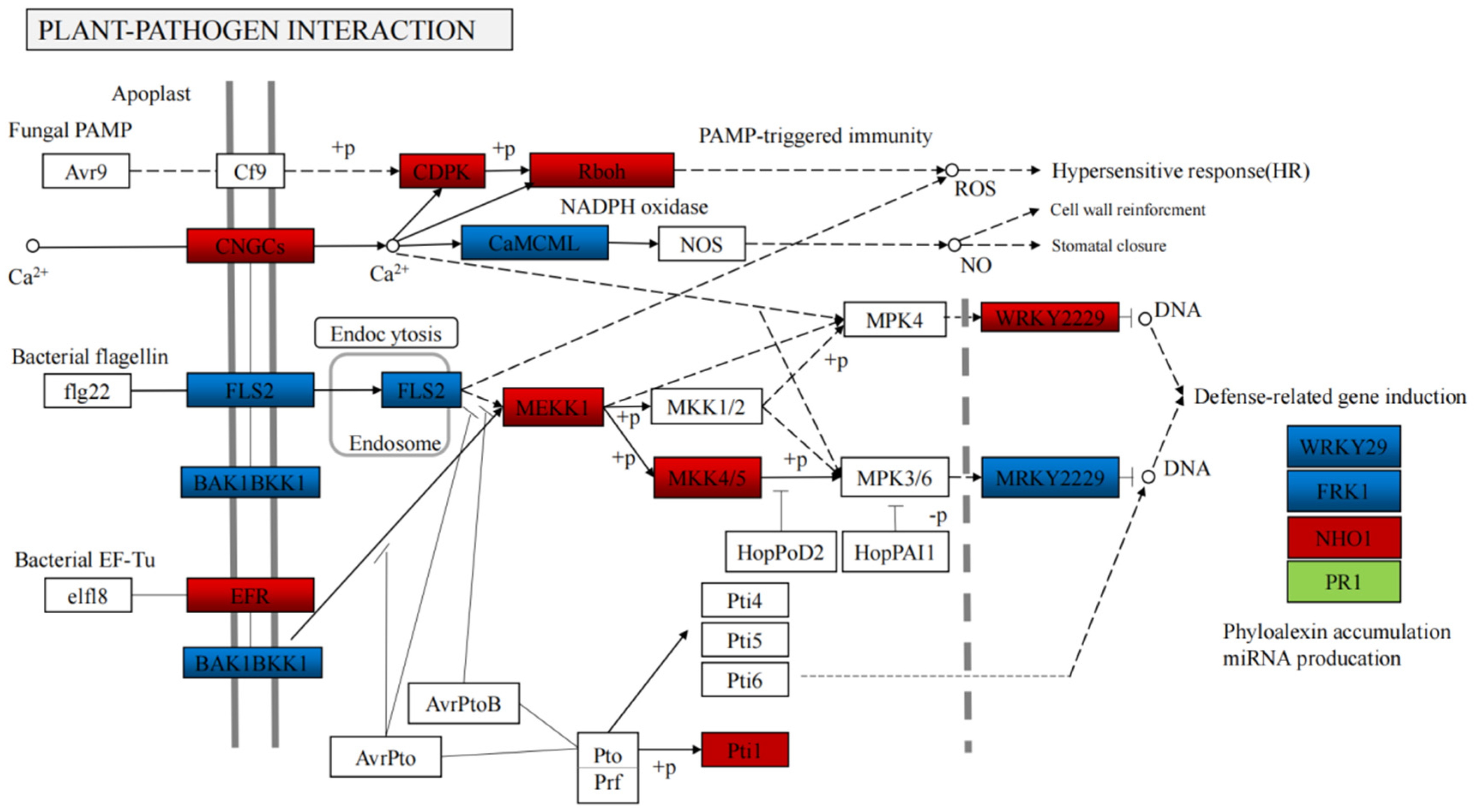 Horticulturae 08 00057 g007