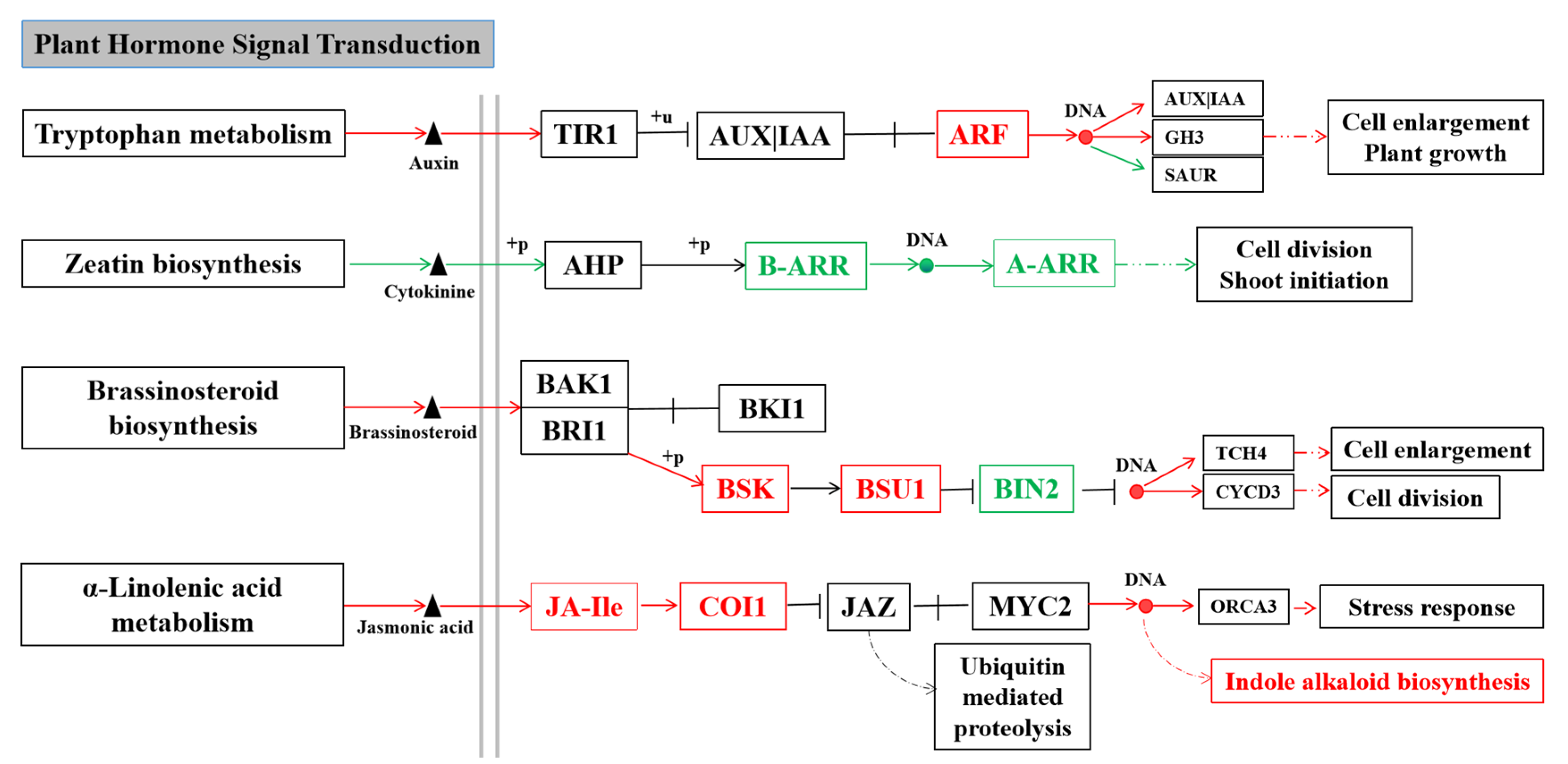 Horticulturae 08 00057 g008