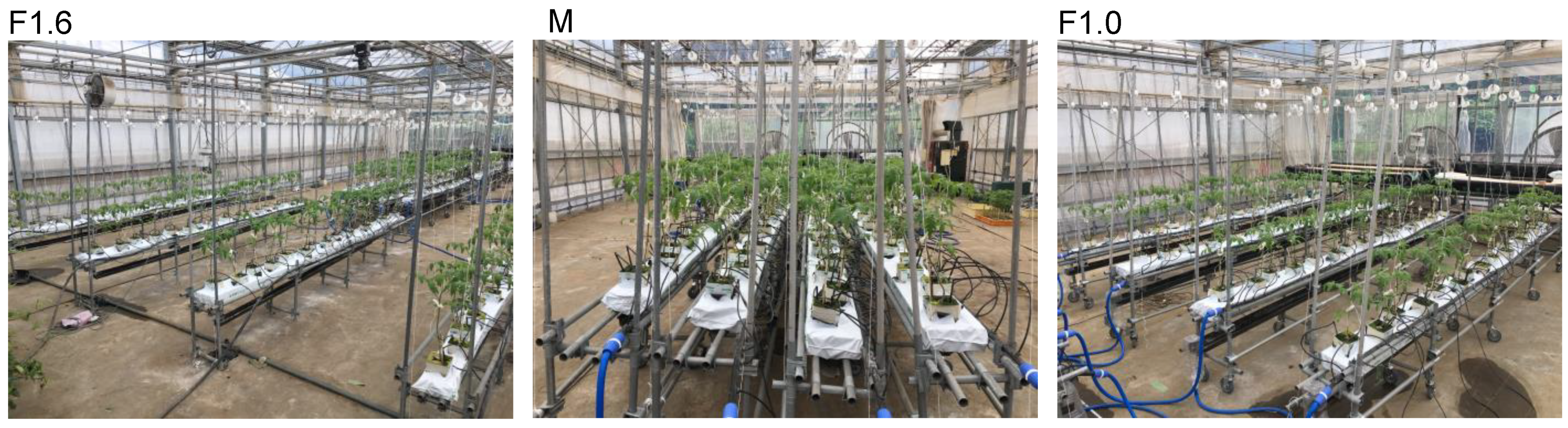 Horticulturae 08 00060 g004 Horticulturae 08 00060 g004