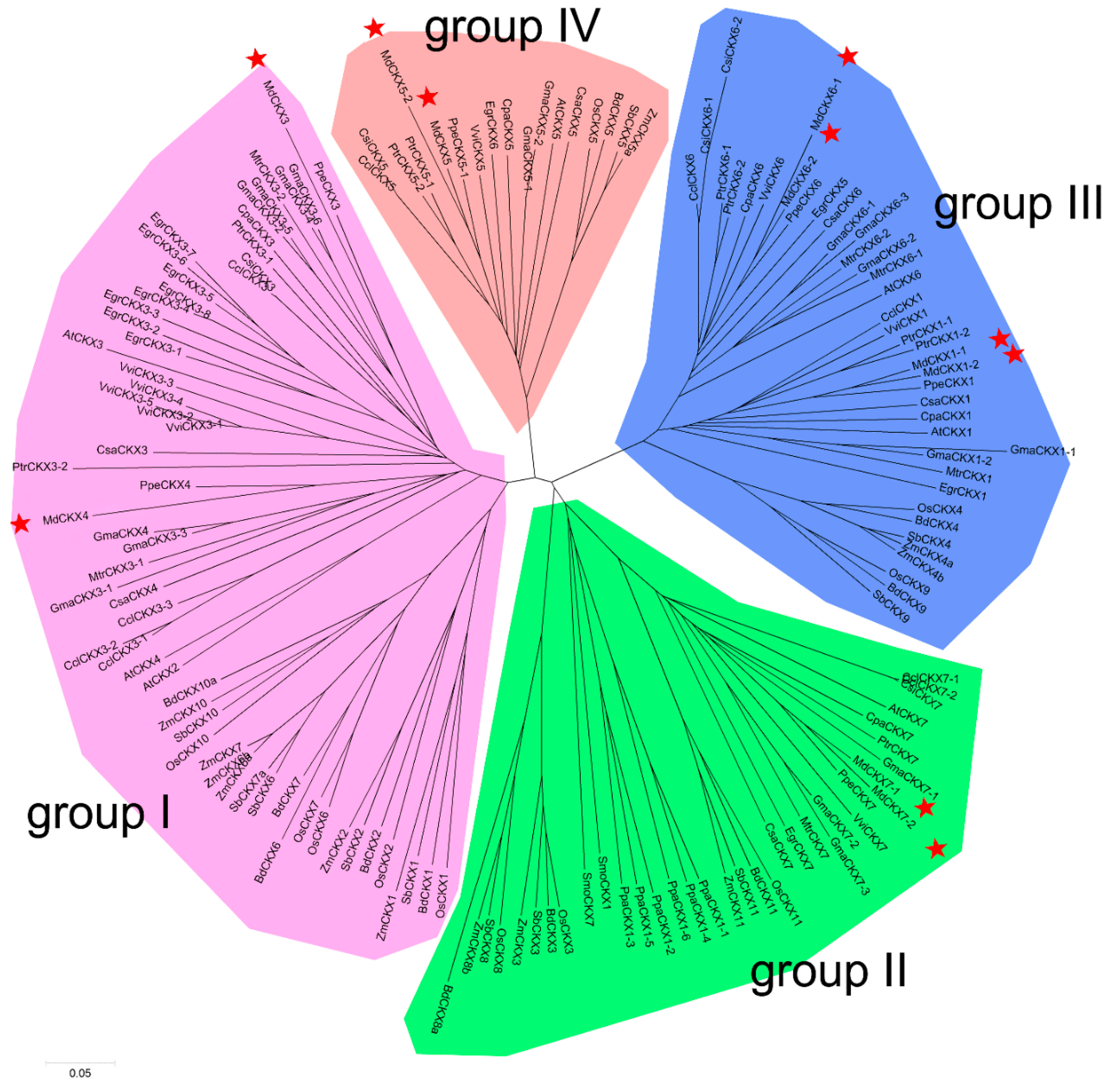 Horticulturae 08 00062 g001 550