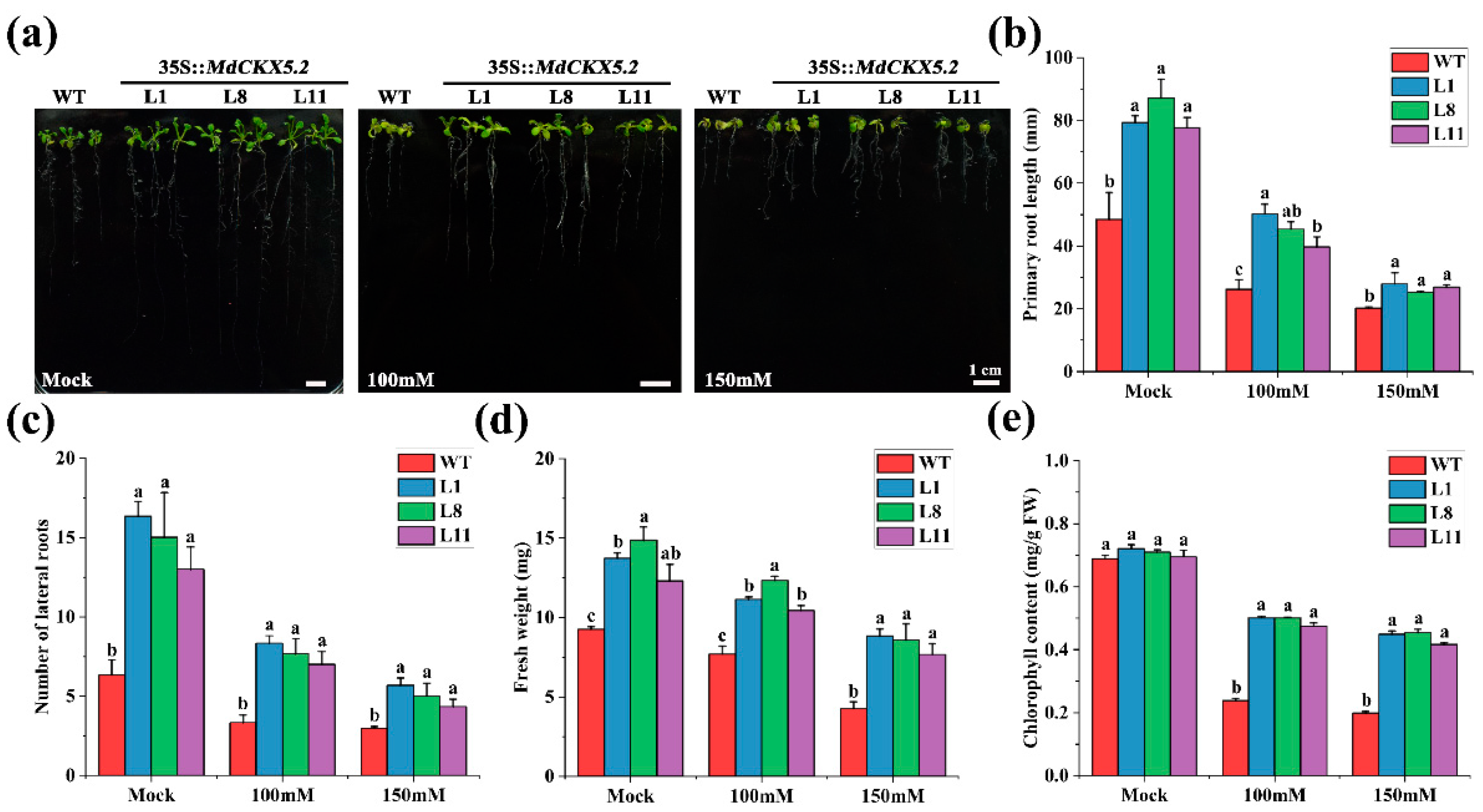 Horticulturae 08 00062 g007 550
