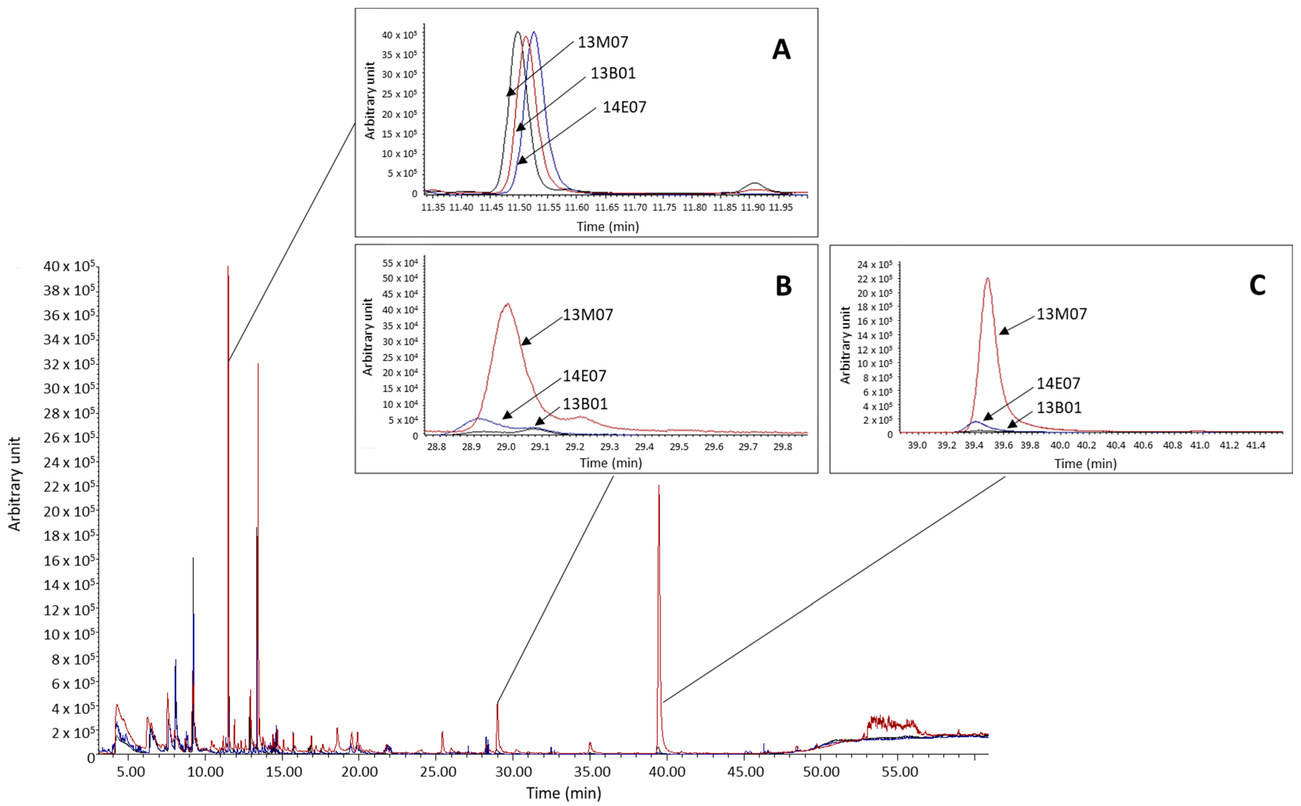 Horticulturae 08 00065 g003 550