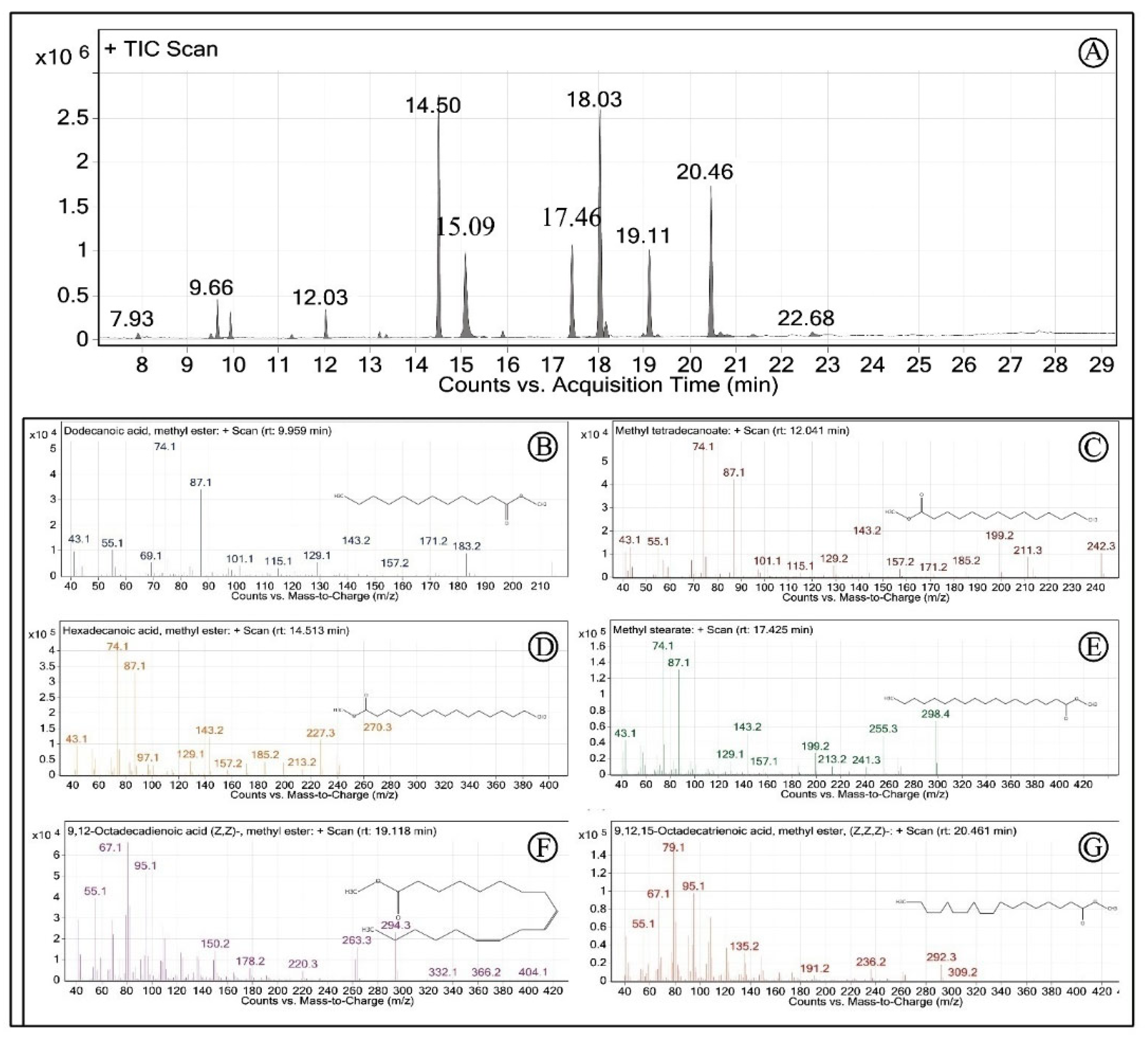 Horticulturae 08 00067 g002