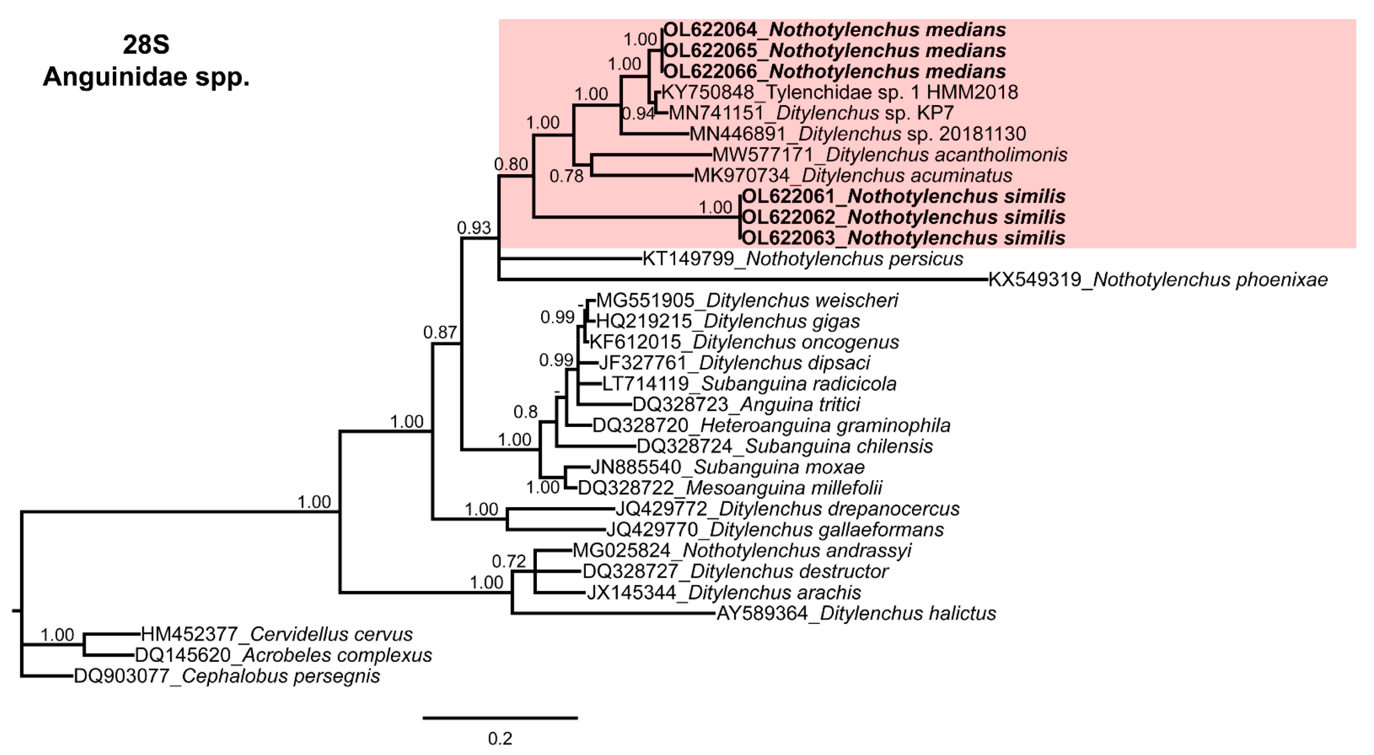 Horticulturae 08 00074 g004