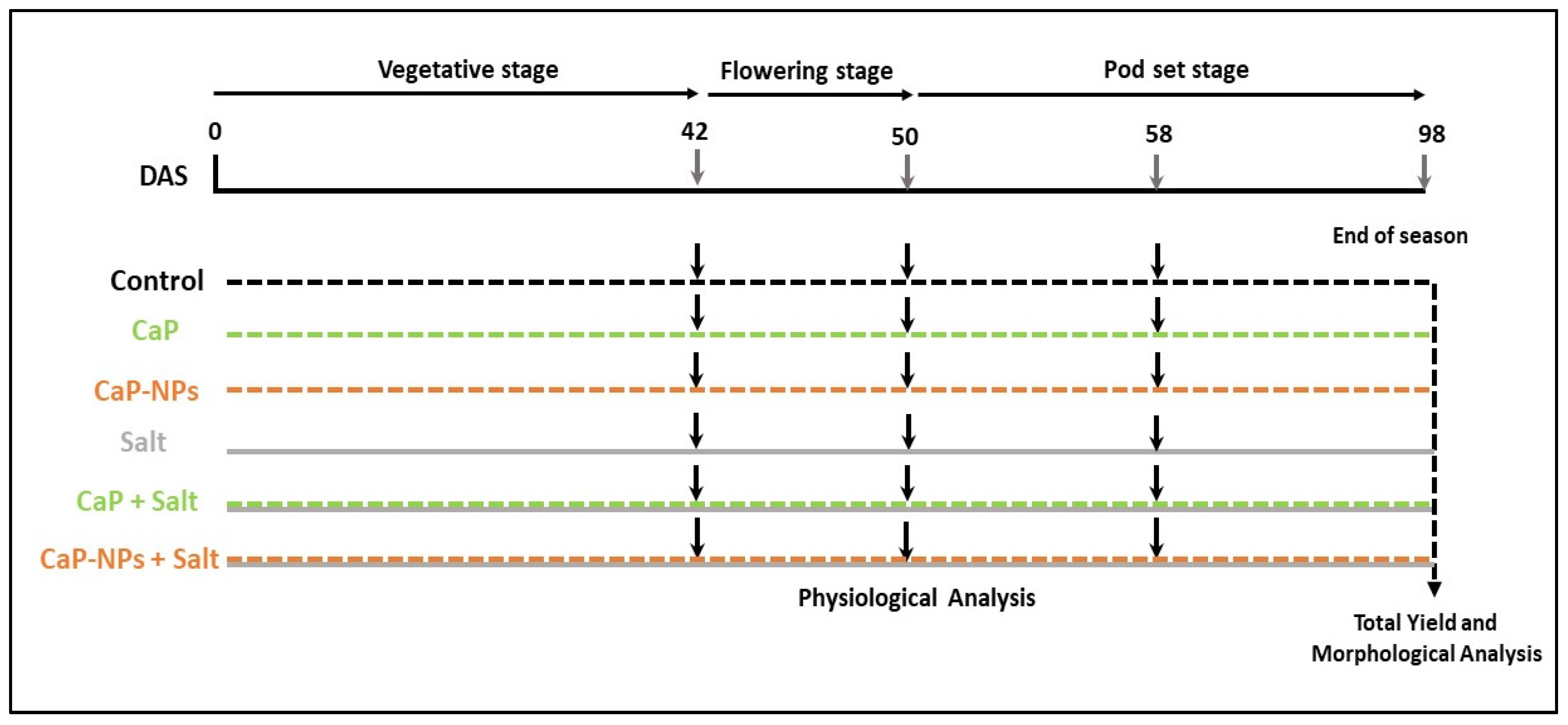 Horticulturae 08 00075 g002 550