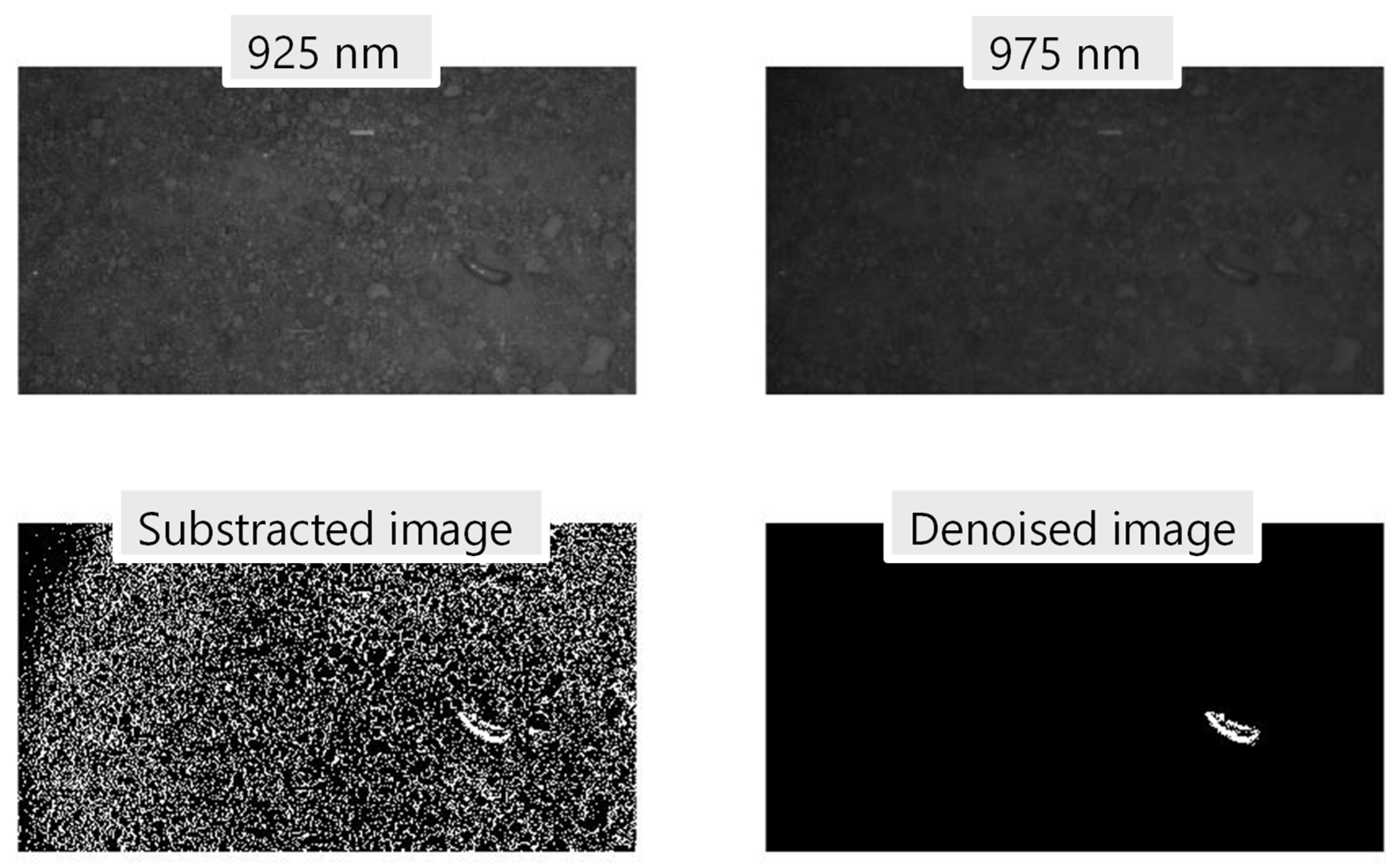 Horticulturae 08 00077 g009 550