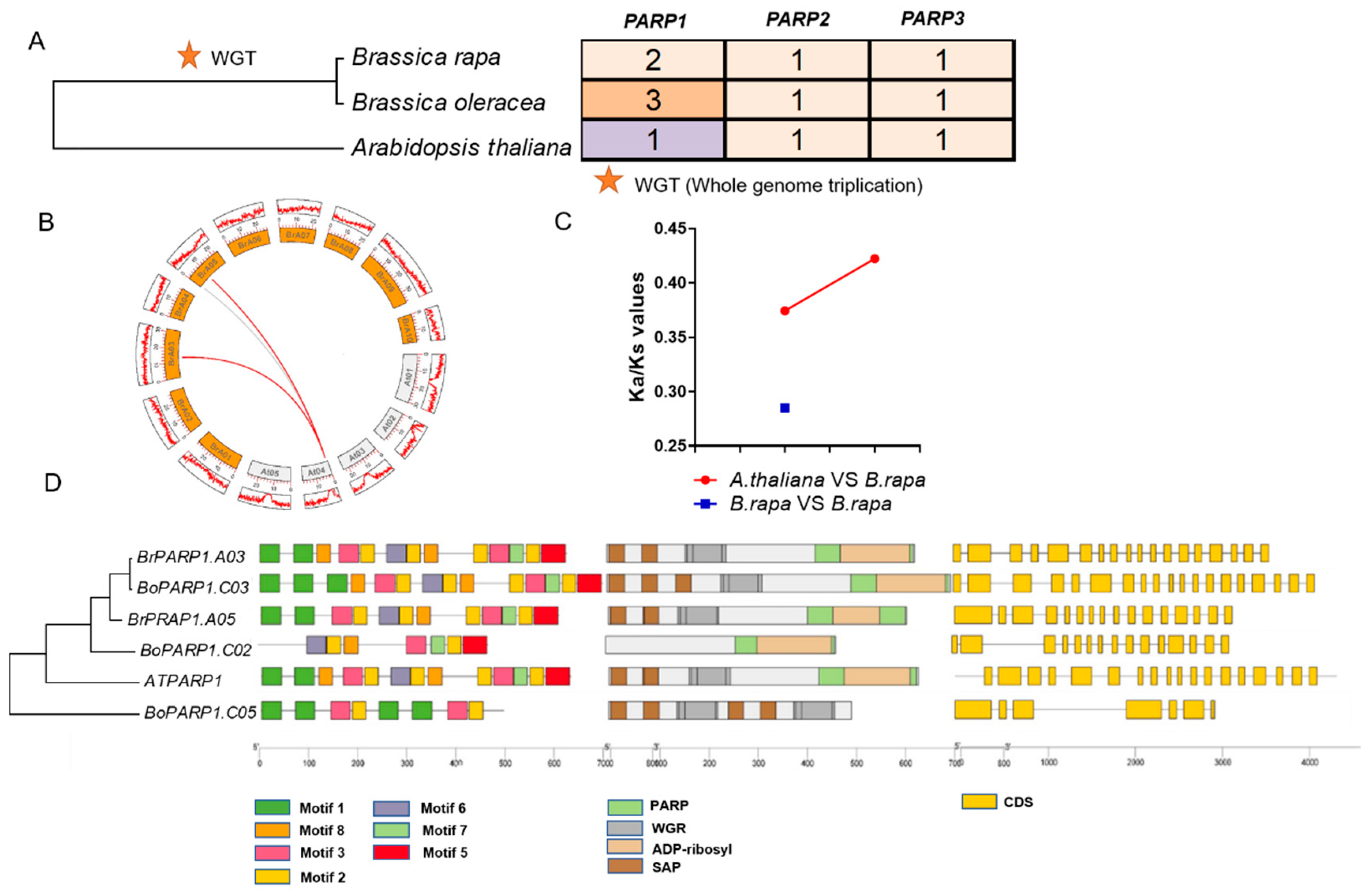 Horticulturae 08 00078 g001
