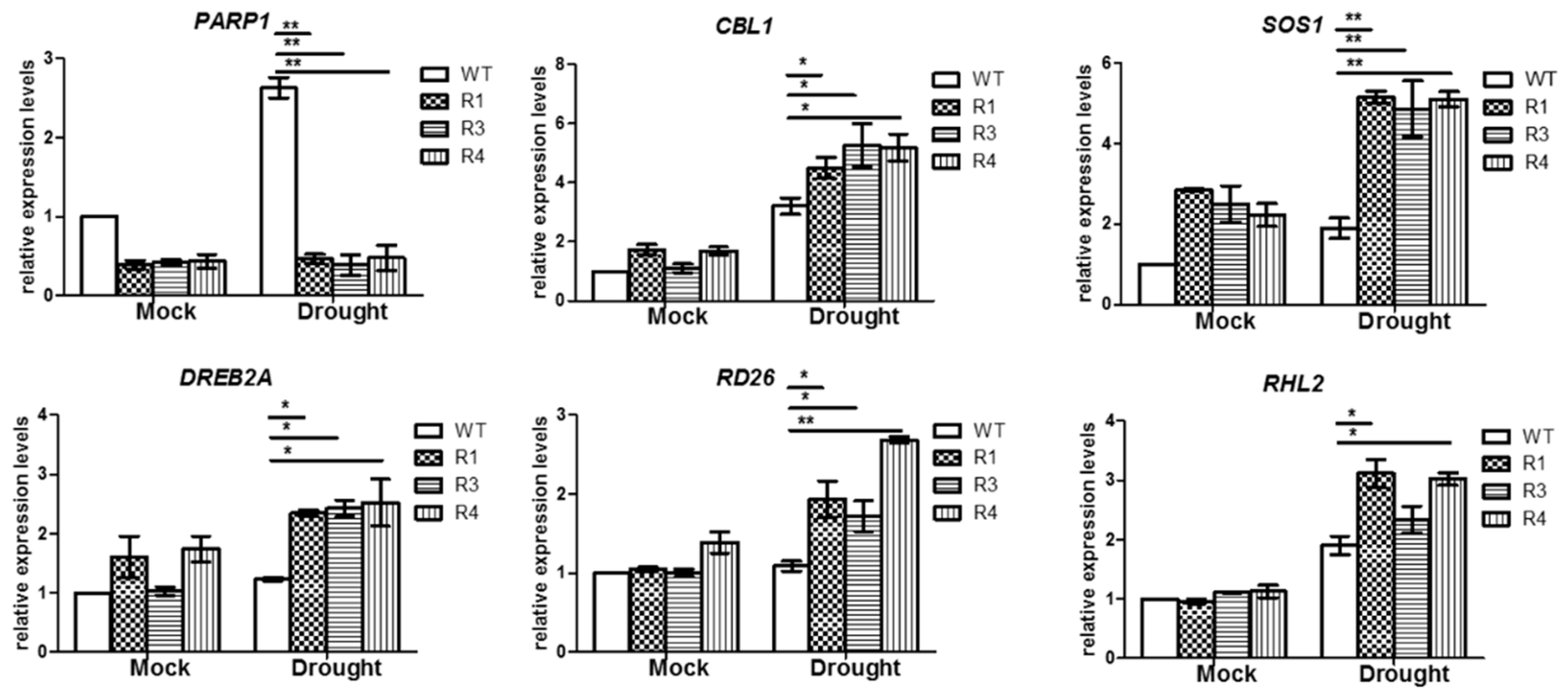 Horticulturae 08 00078 g006