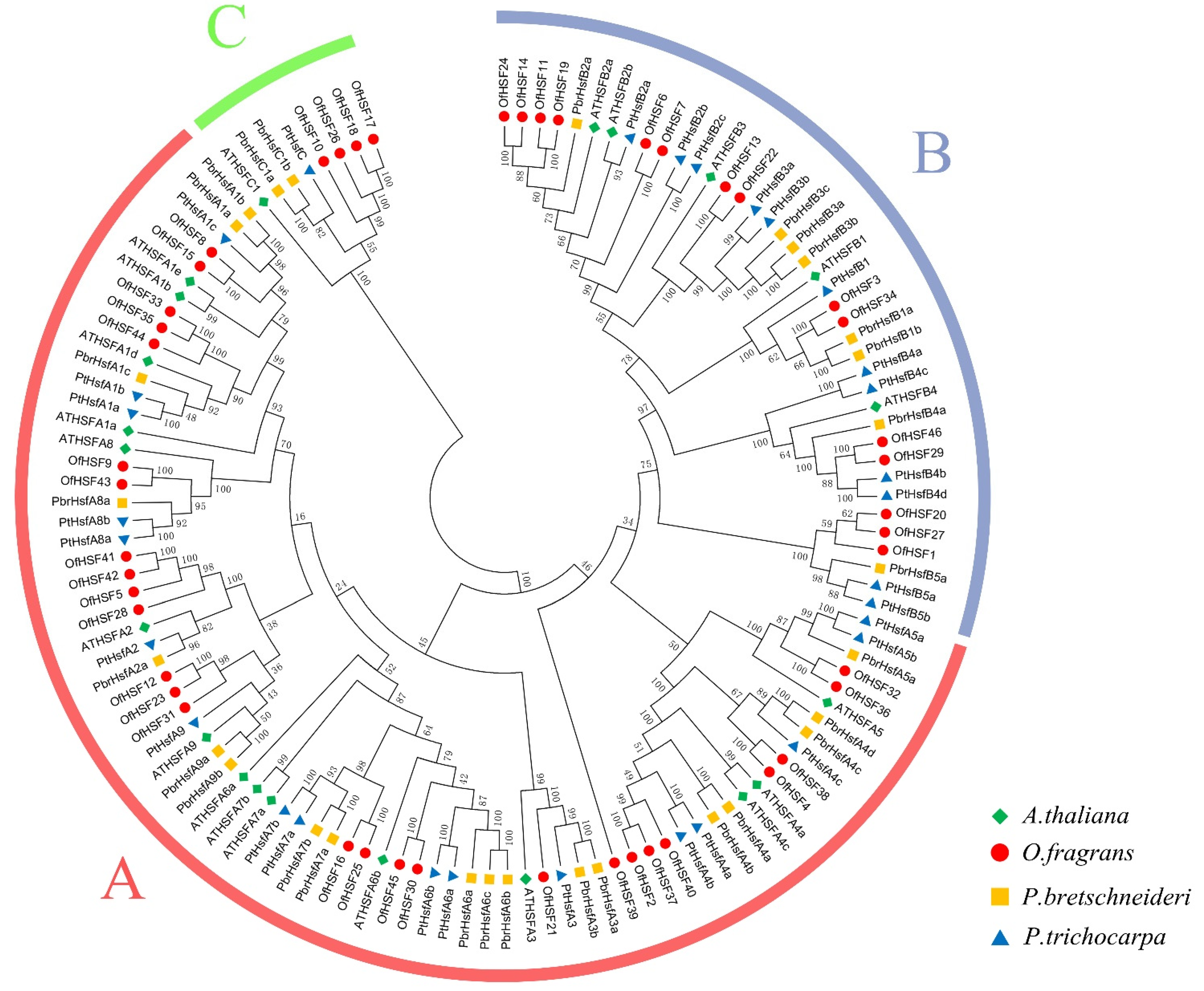Horticulturae 08 00080 g001