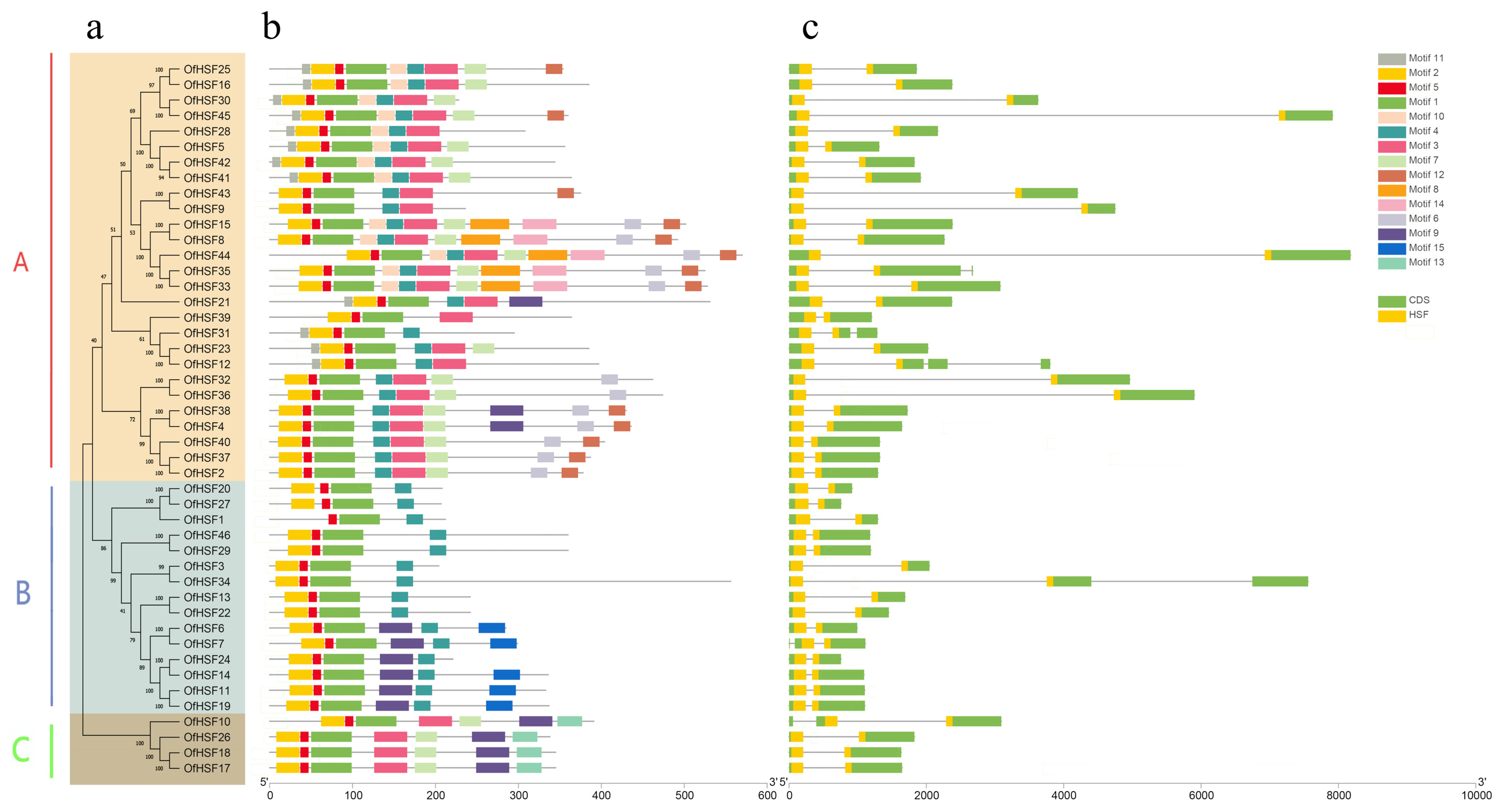 Horticulturae 08 00080 g002
