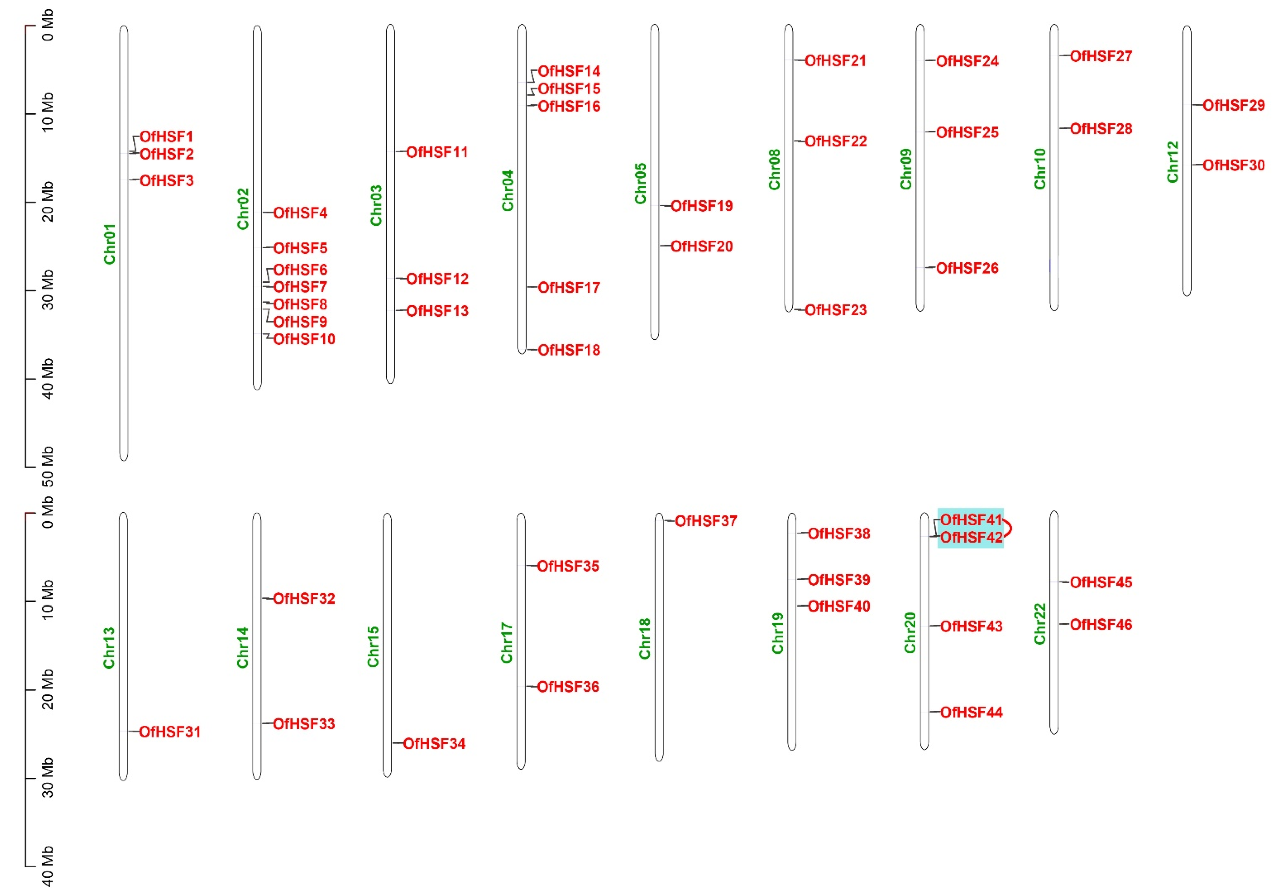 Horticulturae 08 00080 g004