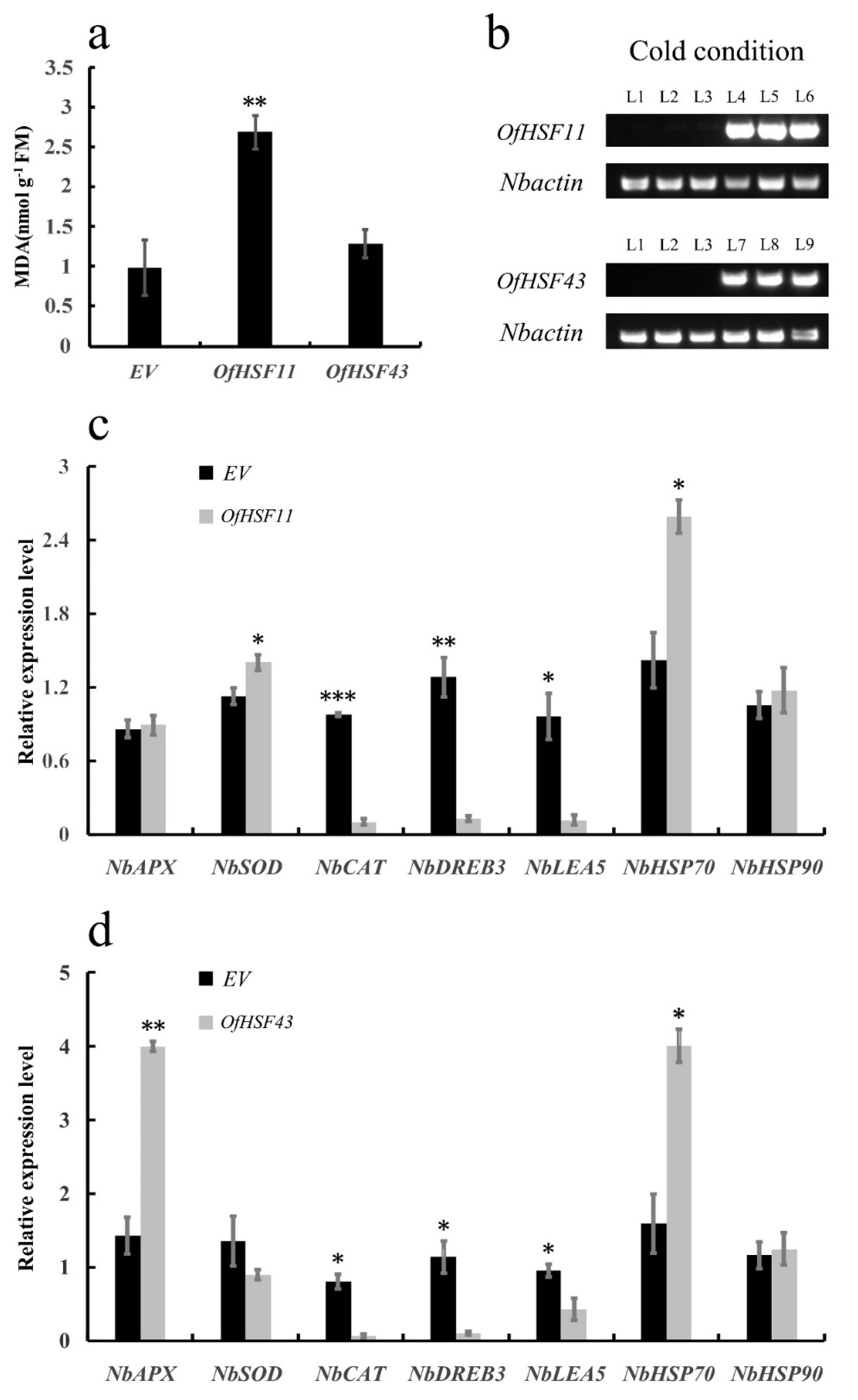 Horticulturae 08 00080 g009