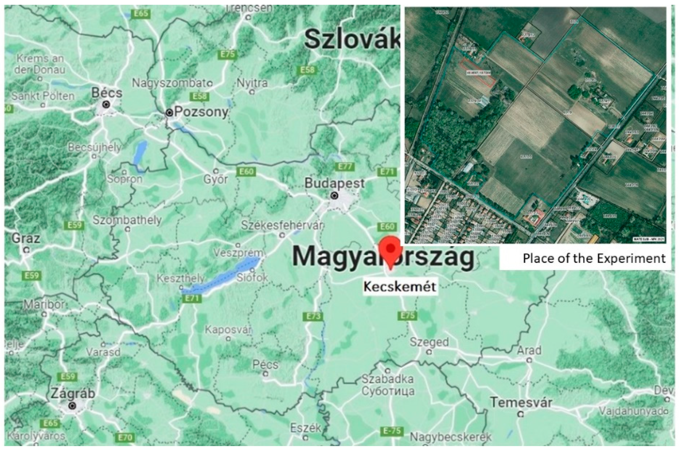 Horticulturae 08 00097 g001 550