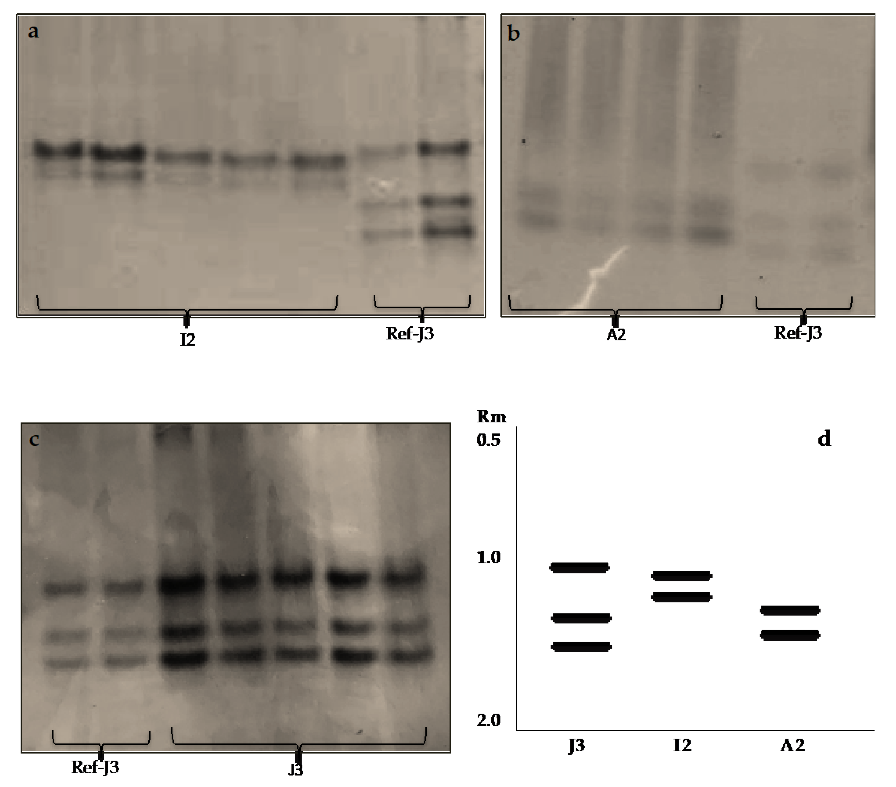 Horticulturae 08 00101 g002