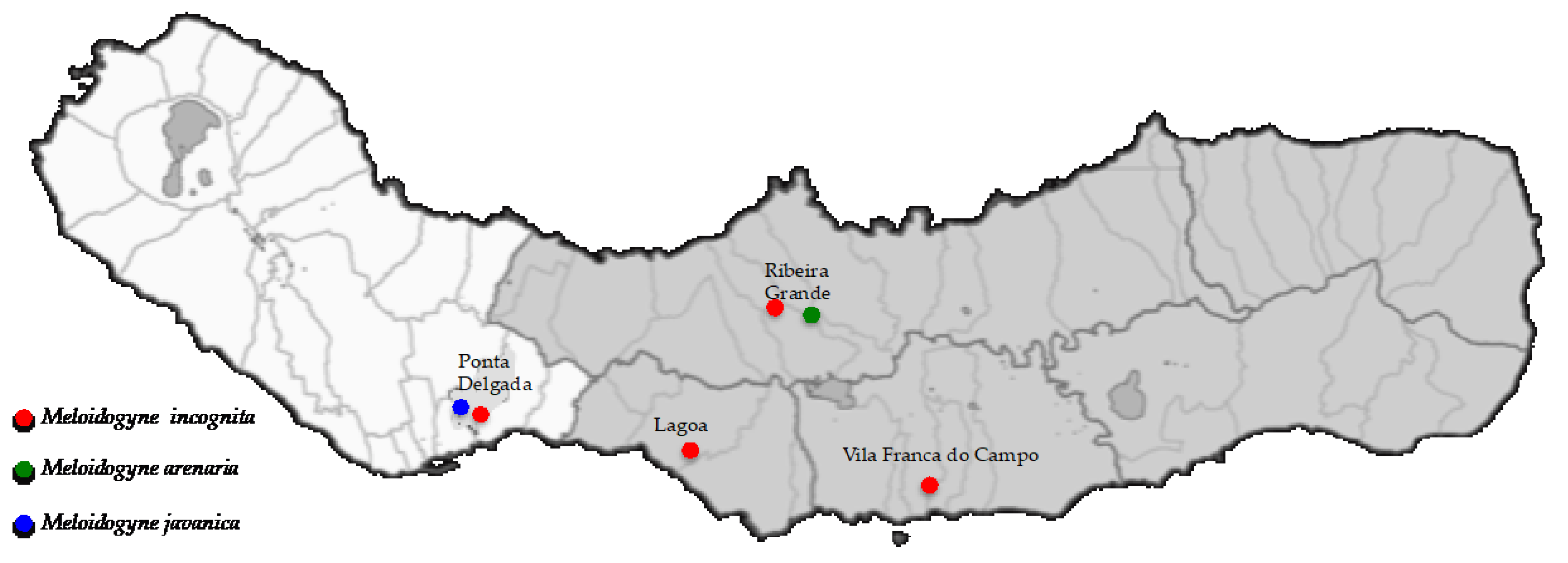 Horticulturae 08 00101 g003