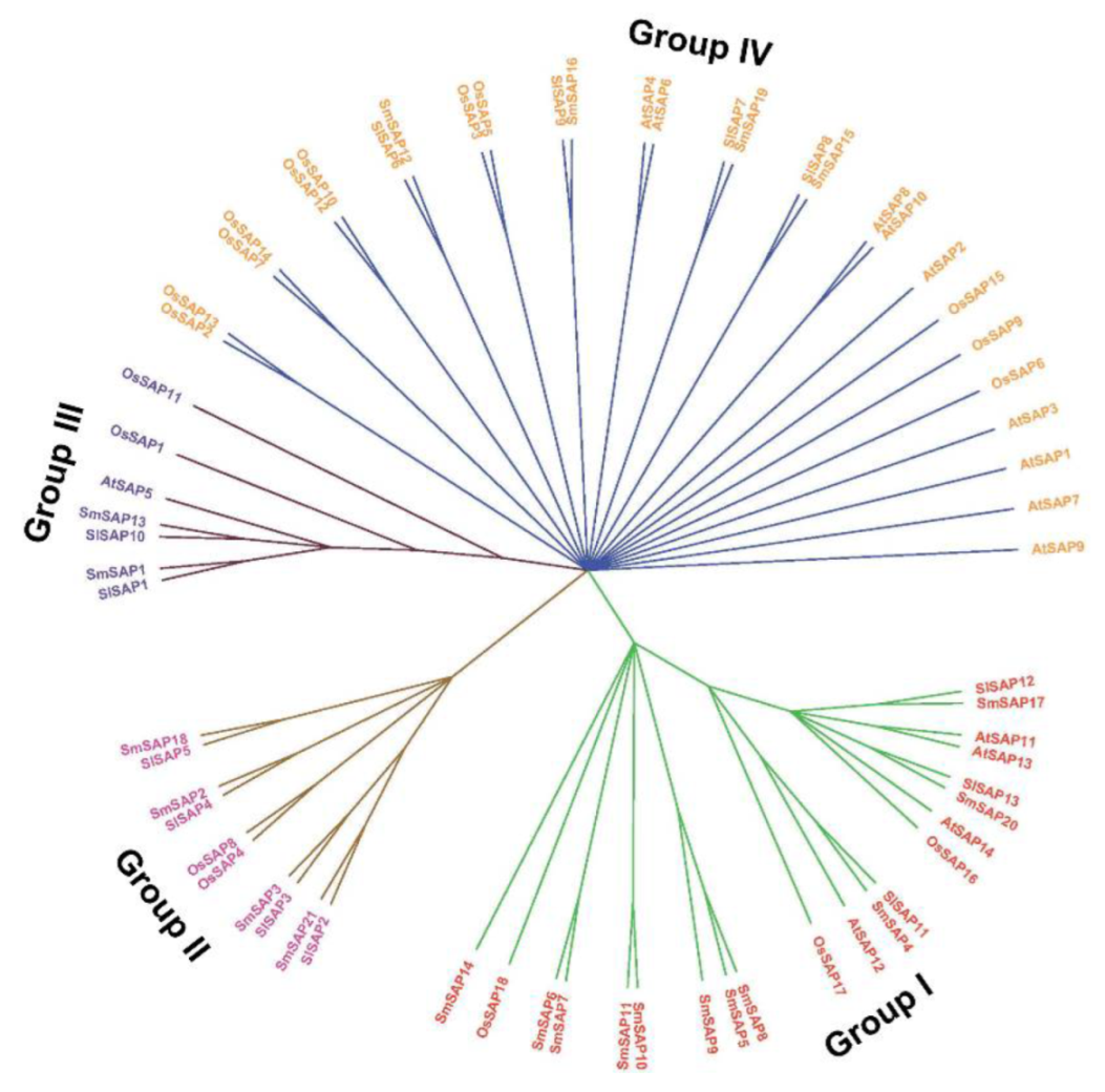 Horticulturae 08 00108 g001 550