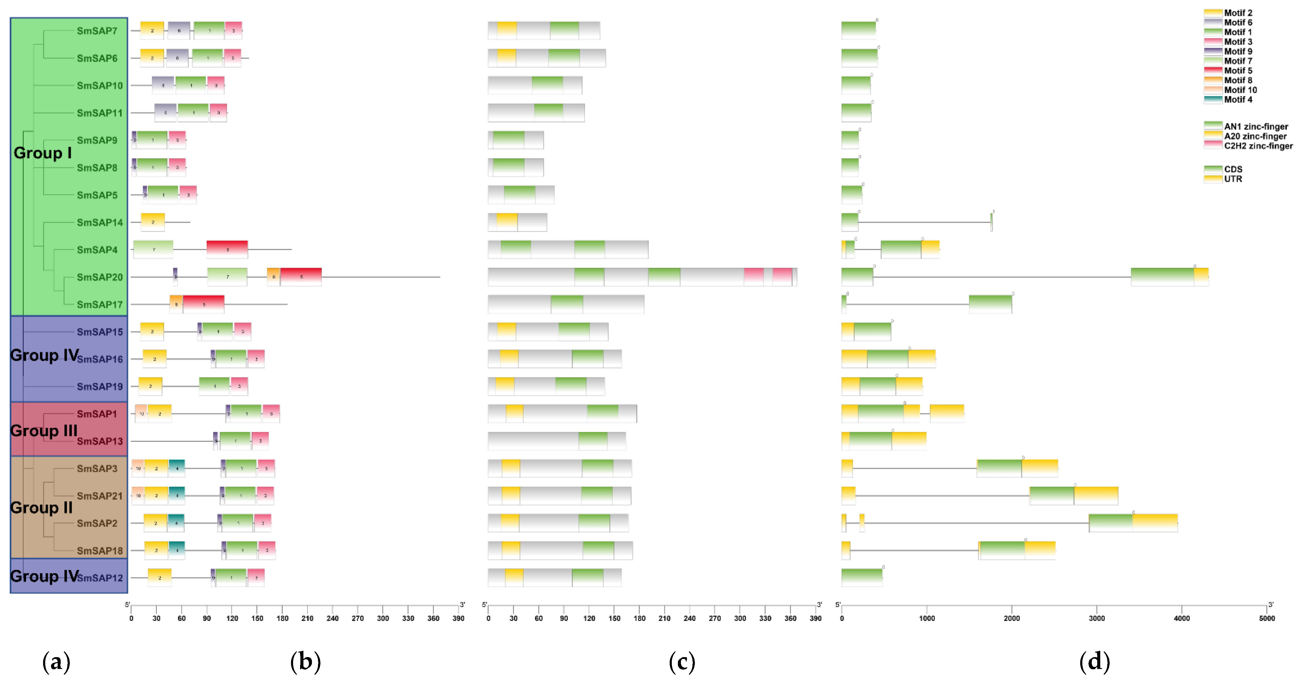 Horticulturae 08 00108 g002 550