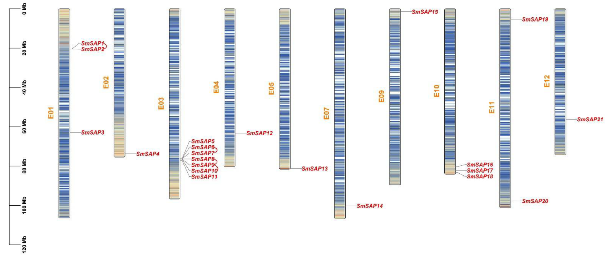 Horticulturae 08 00108 g003 550