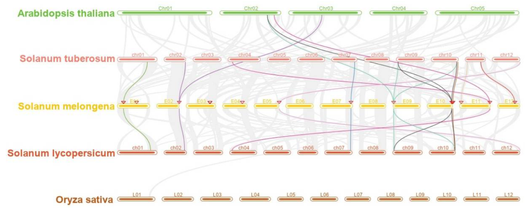Horticulturae 08 00108 g004 550
