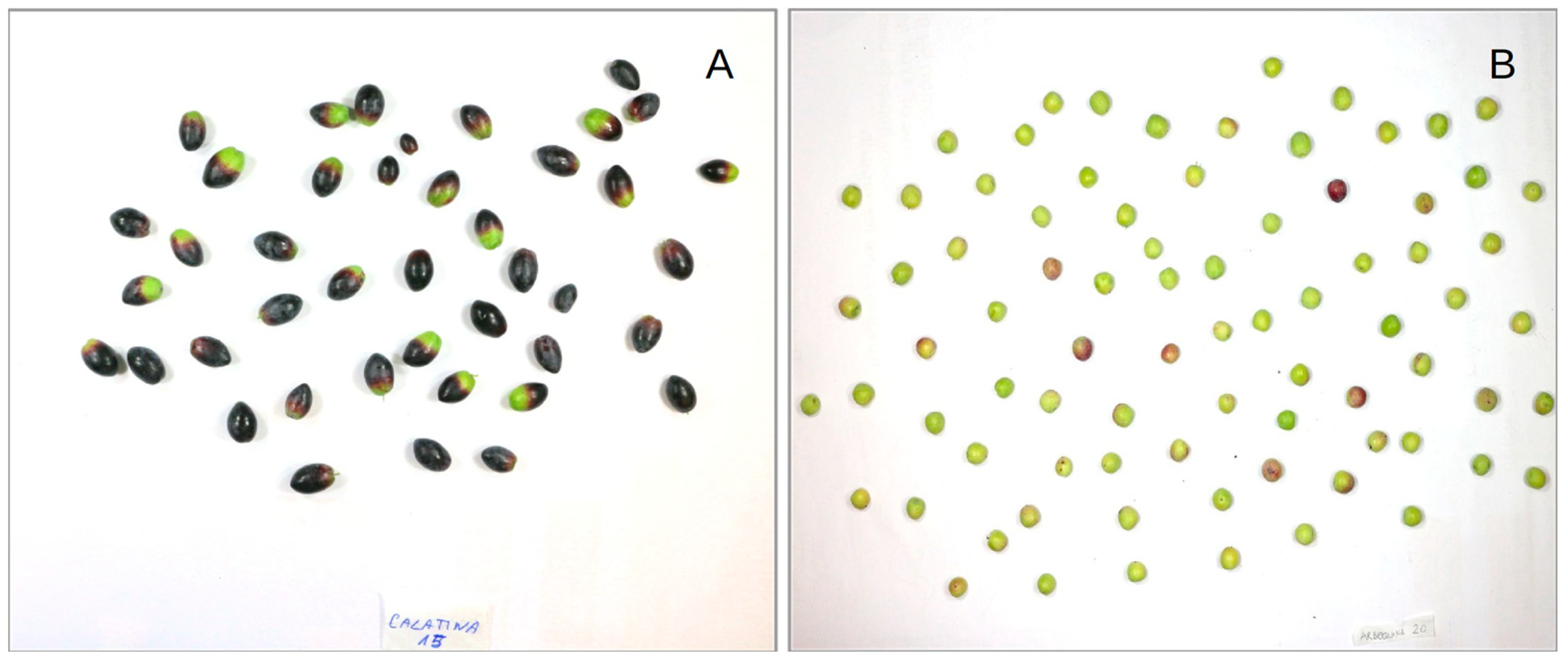 Horticulturae 08 00109 g002