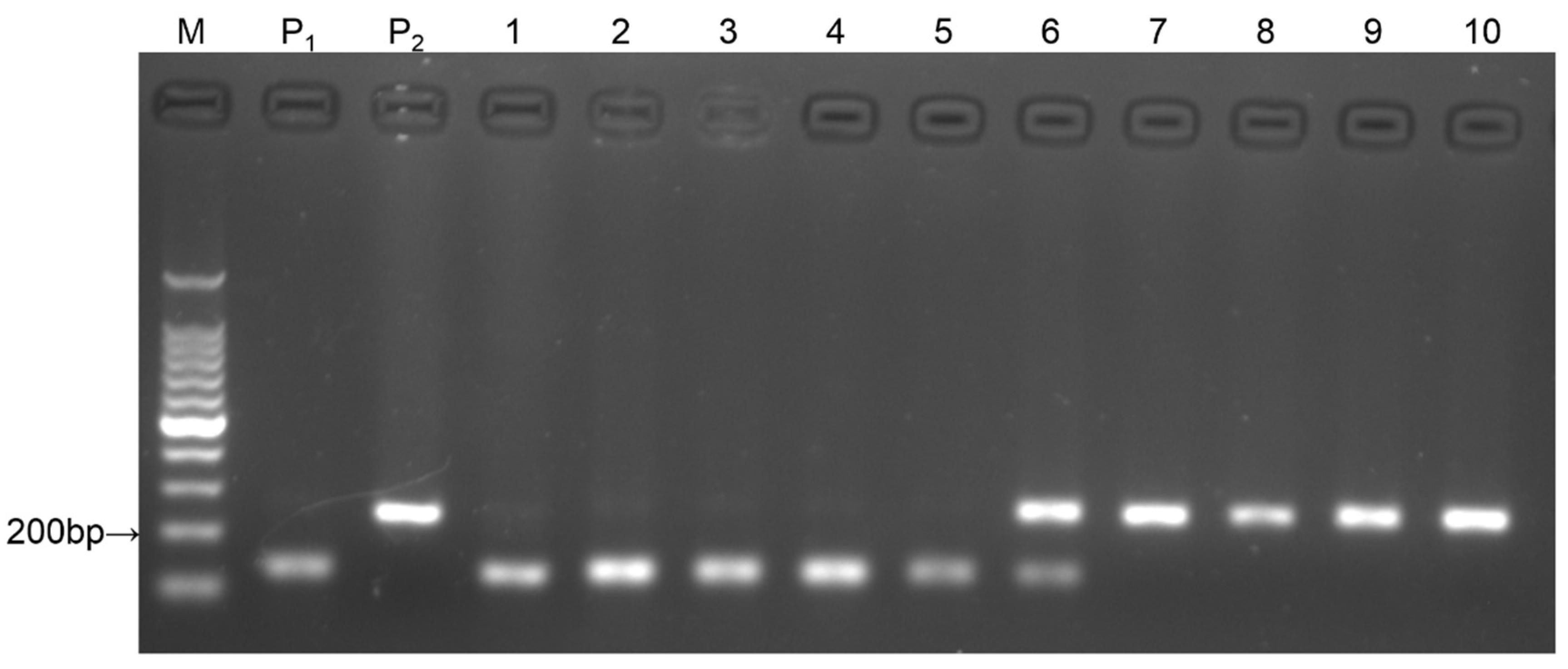 Horticulturae 08 00112 g001