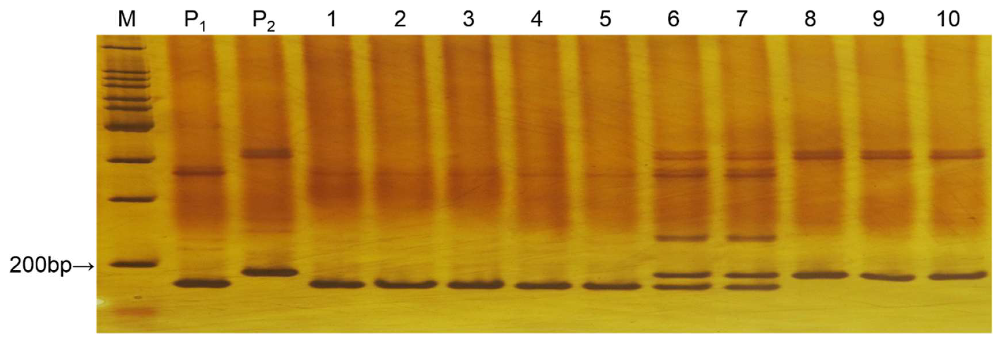 Horticulturae 08 00112 g002