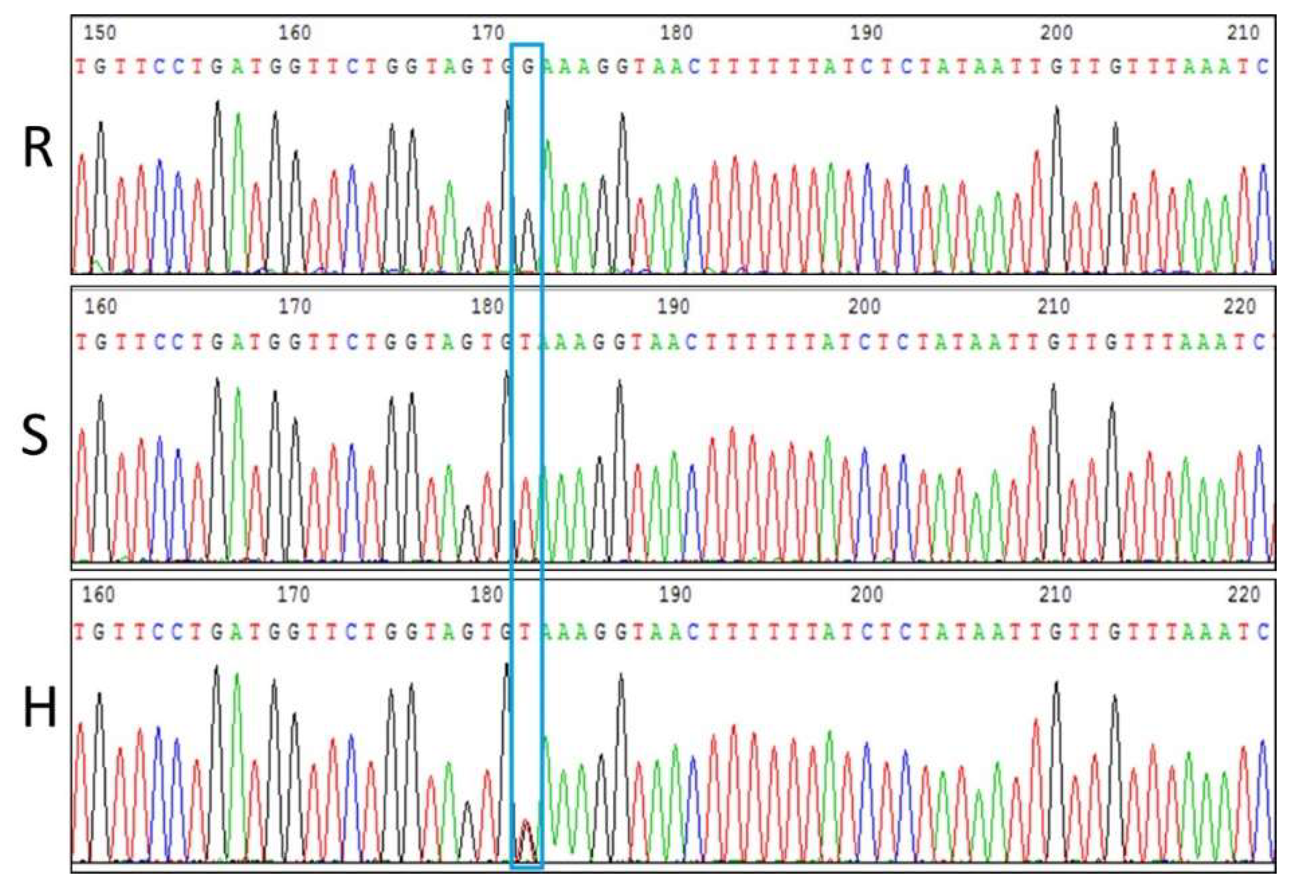 Horticulturae 08 00112 g004