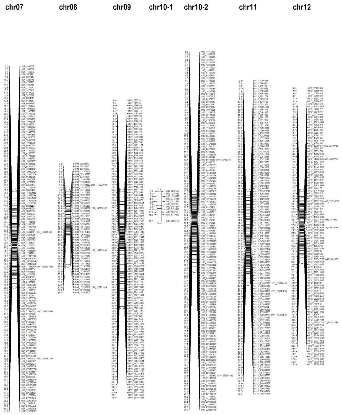Horticulturae 08 00115 g002b Horticulturae 08 00115 g002b
