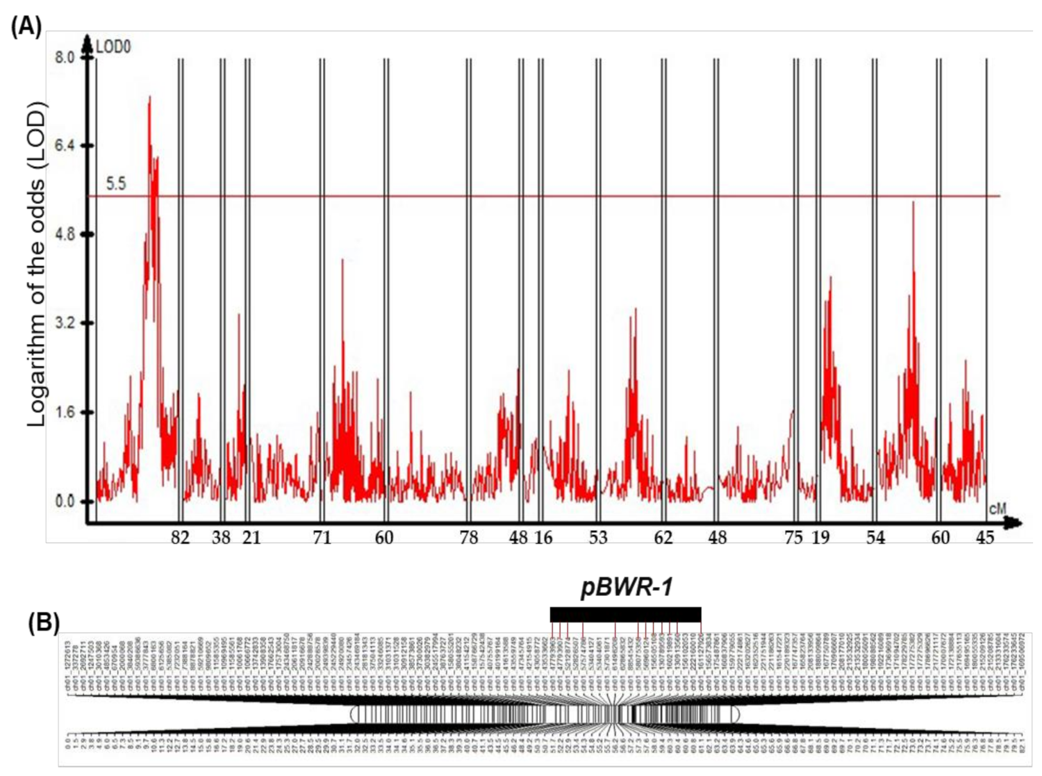 Horticulturae 08 00115 g003 Horticulturae 08 00115 g003