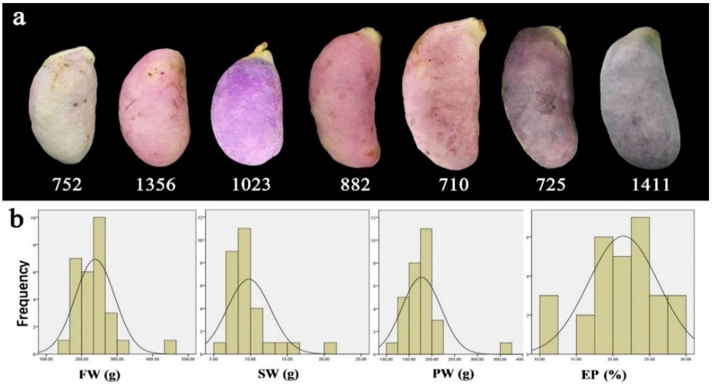 Horticulturae 08 00116 g002 Horticulturae 08 00116 g002