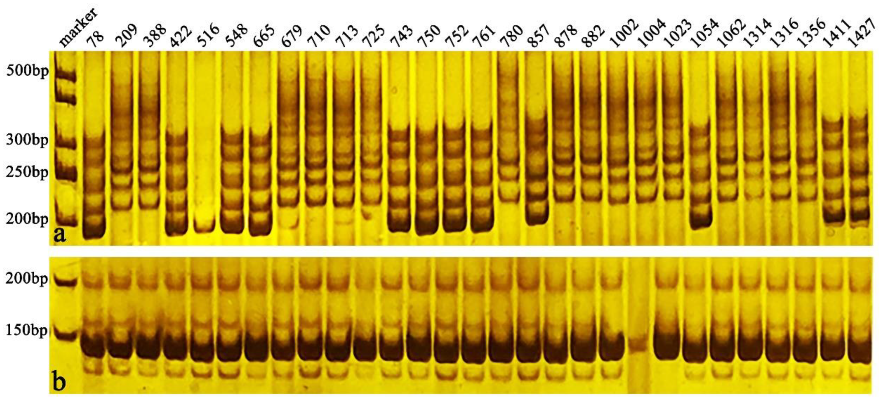 Horticulturae 08 00116 g004 Horticulturae 08 00116 g004