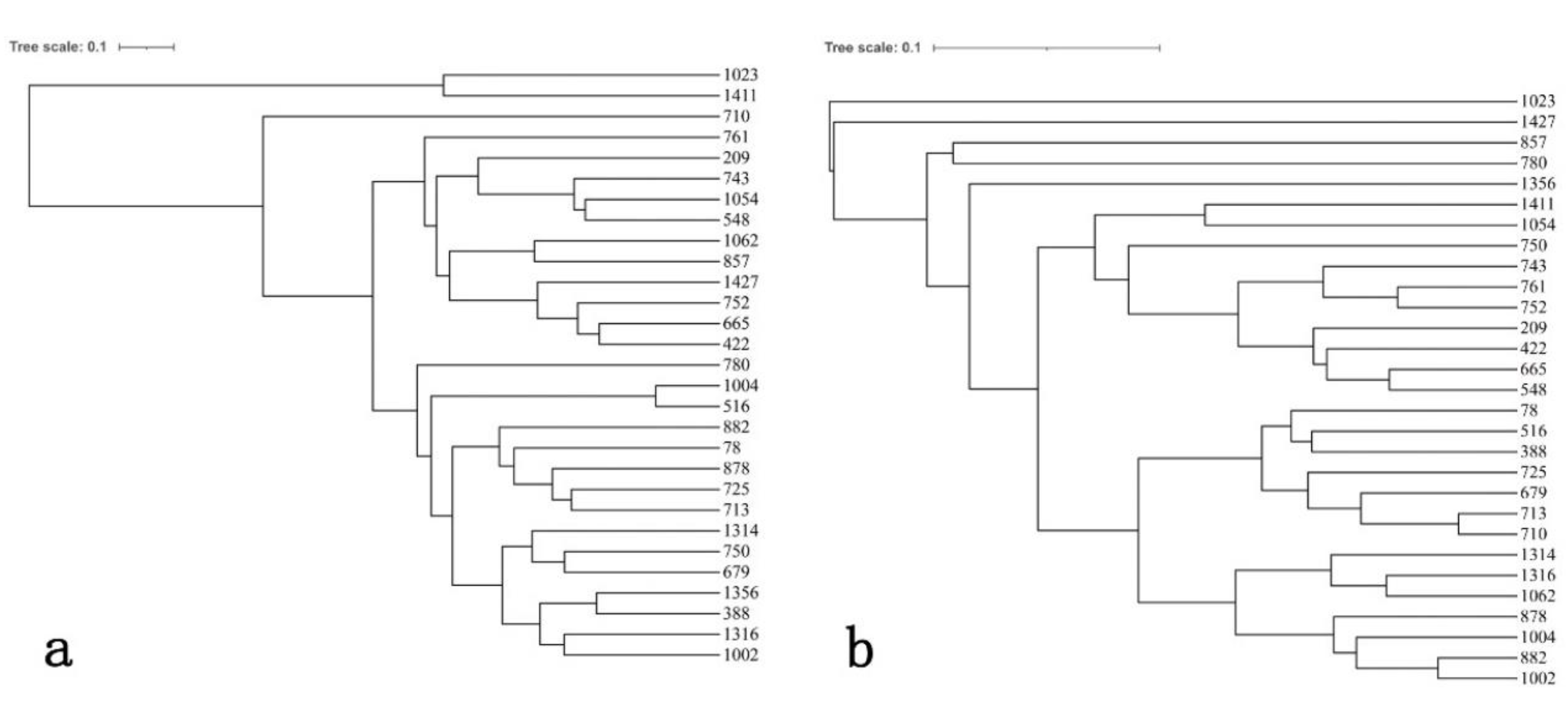 Horticulturae 08 00116 g005 Horticulturae 08 00116 g005