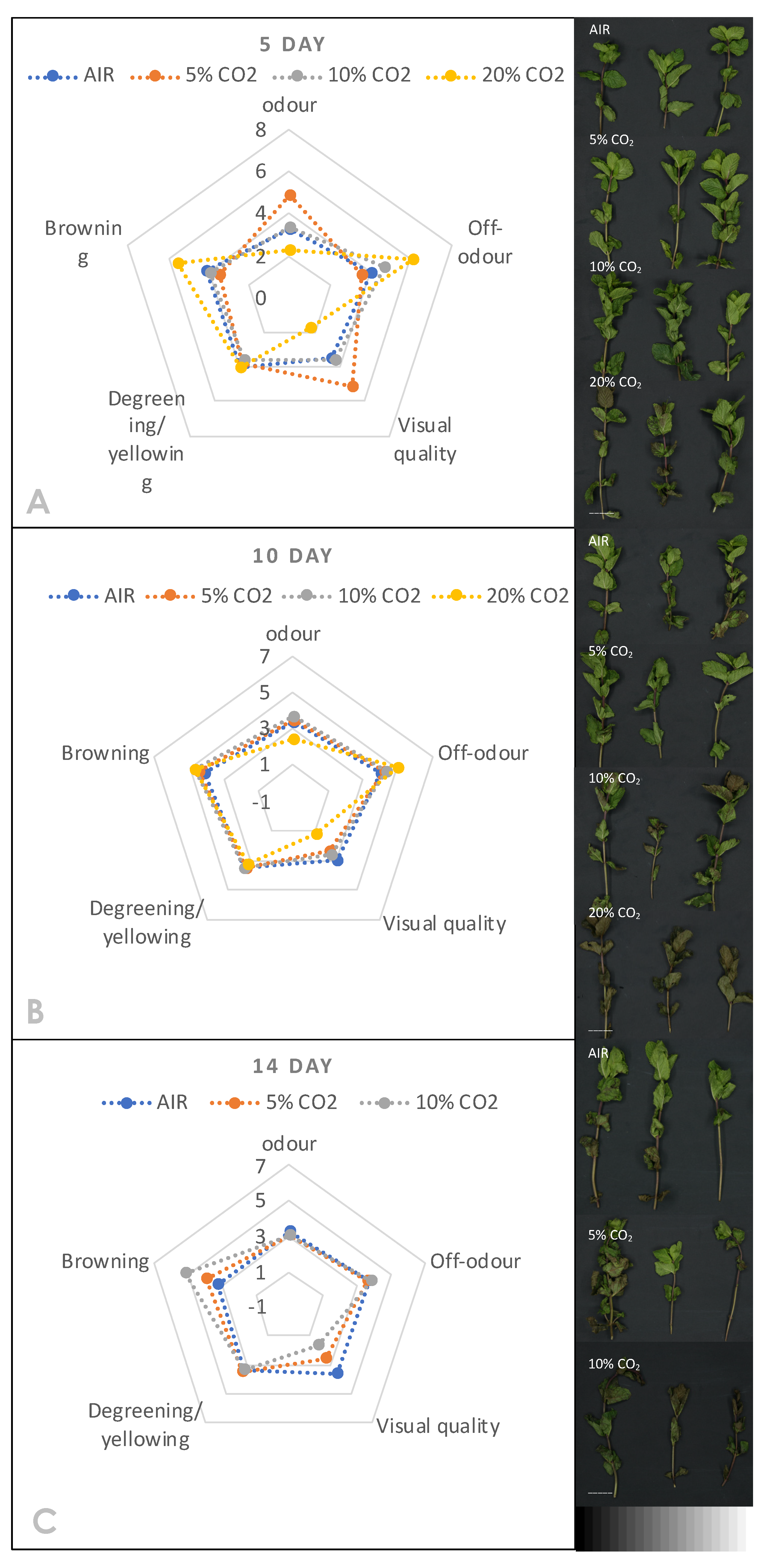 Horticulturae 08 00126 g004