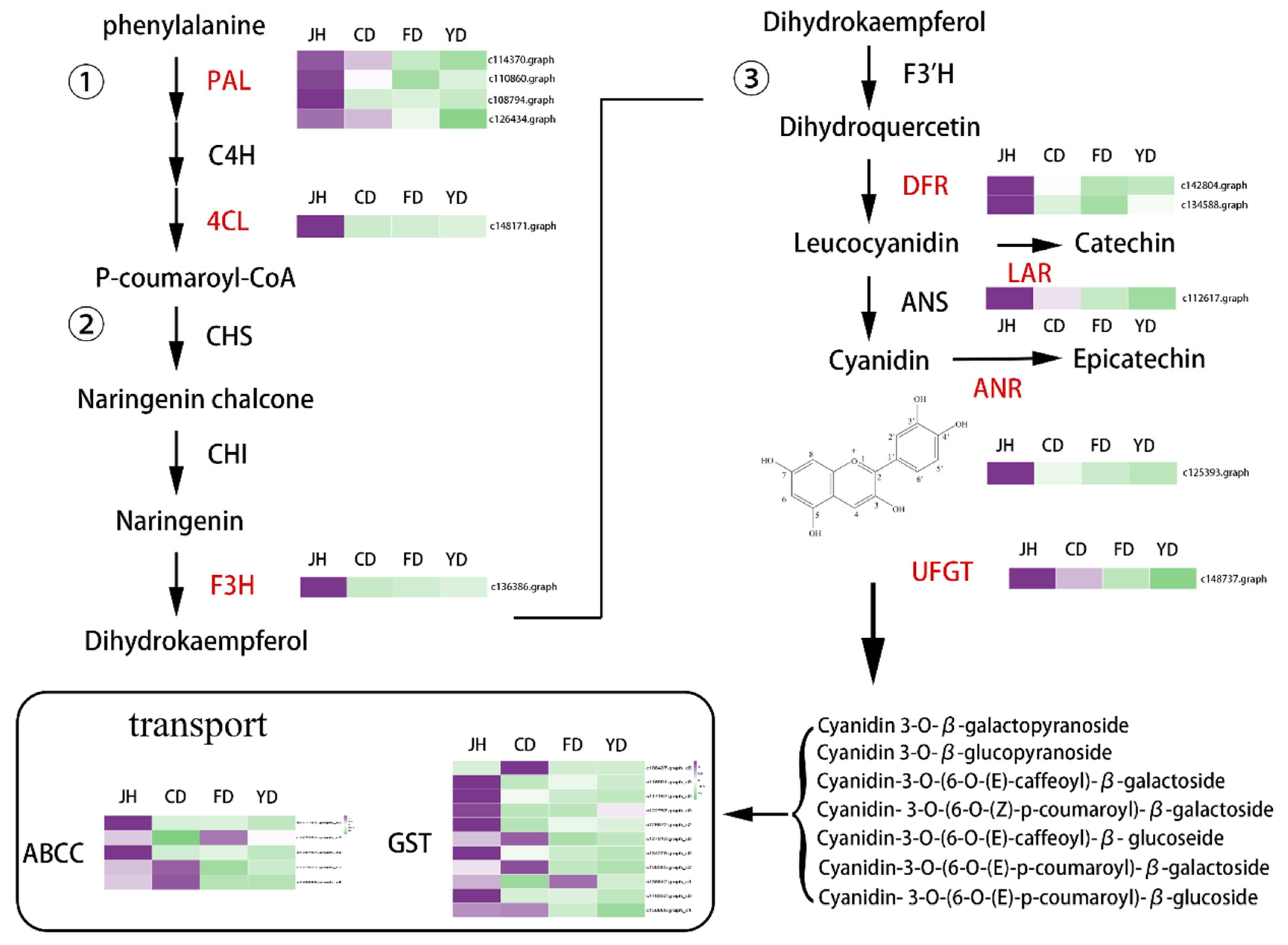 Horticulturae 08 00129 g004 Horticulturae 08 00129 g004