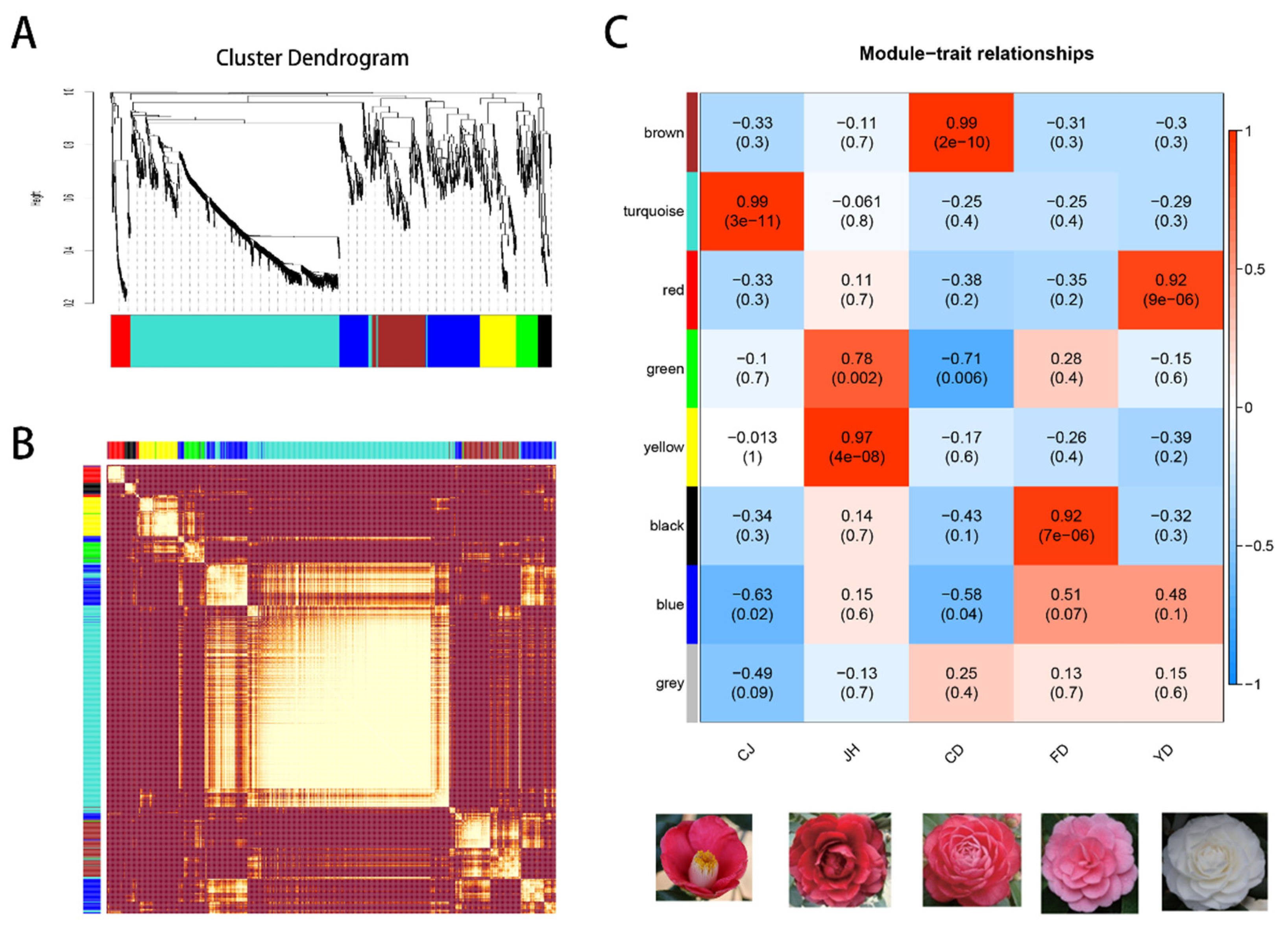 Horticulturae 08 00129 g005 Horticulturae 08 00129 g005