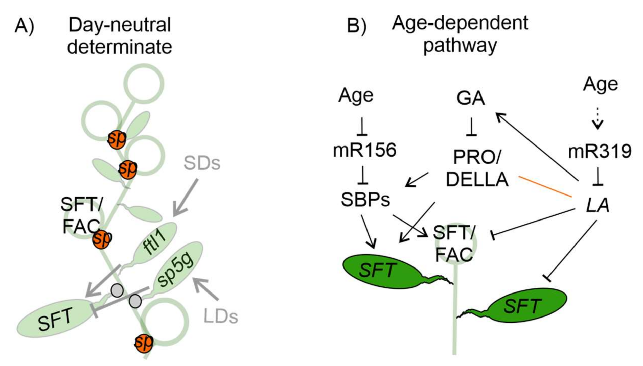 Horticulturae 08 00130 g002 Horticulturae 08 00130 g002