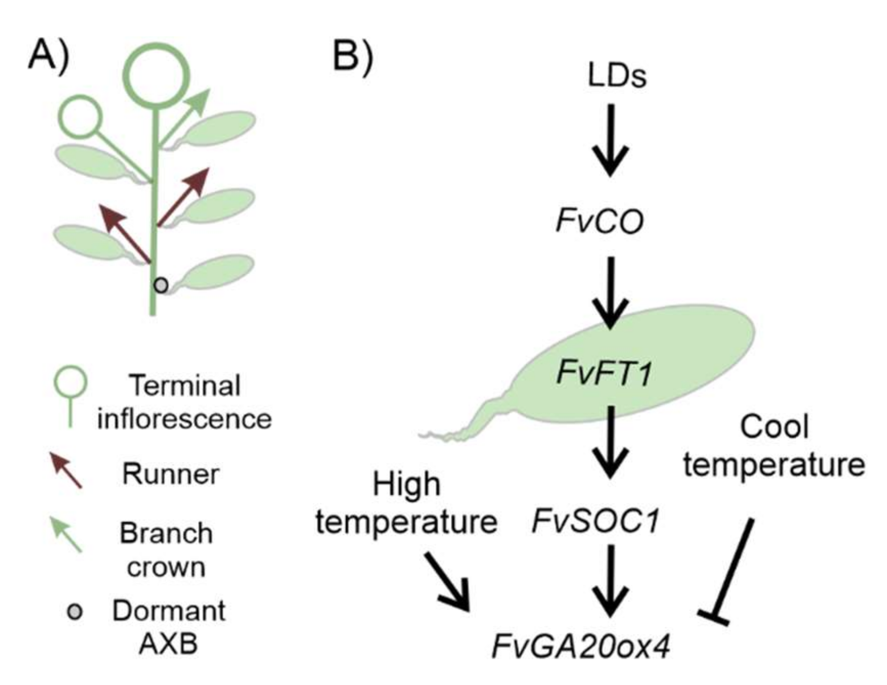 Horticulturae 08 00130 g003 Horticulturae 08 00130 g003