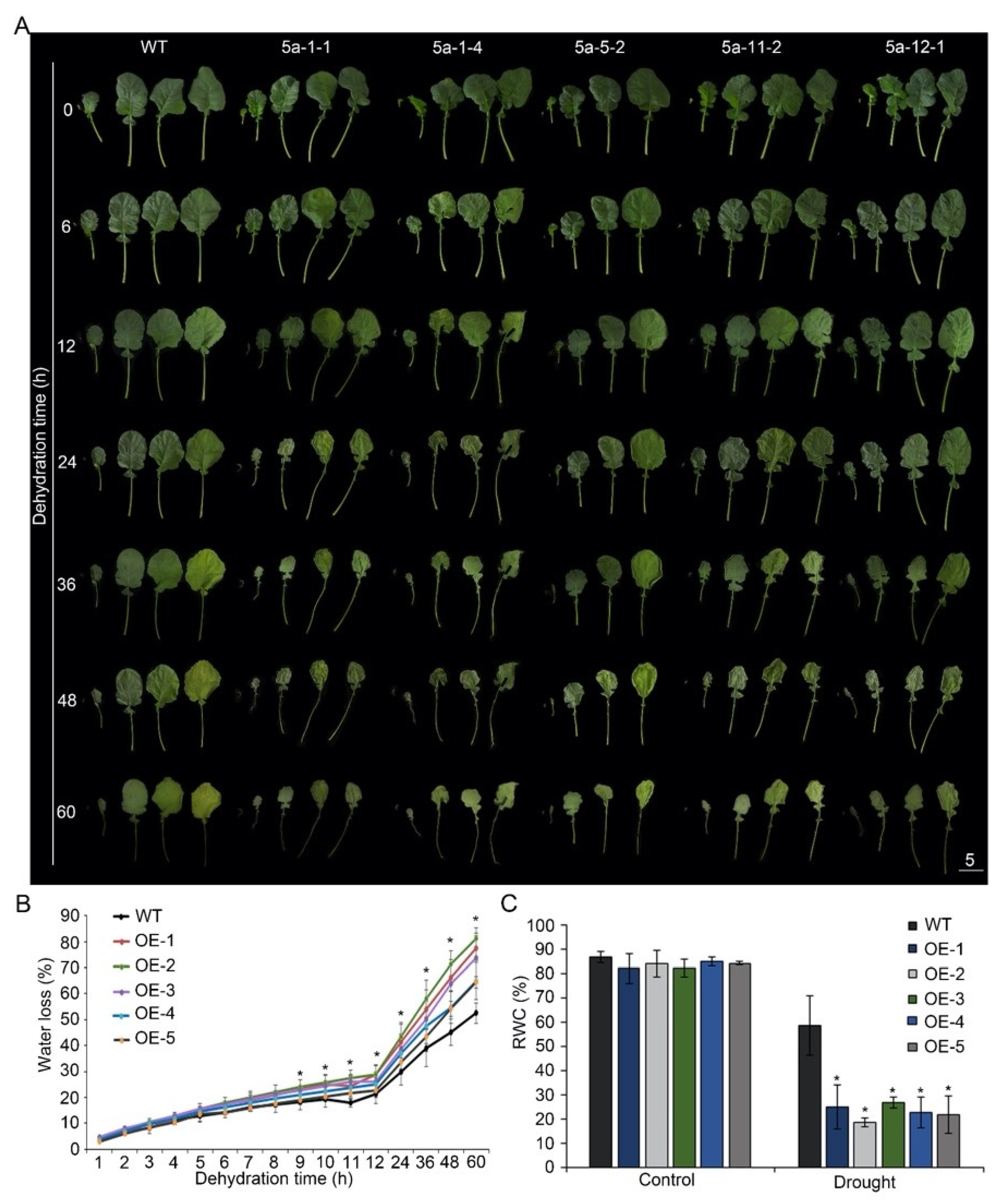 Horticulturae 08 00131 g003