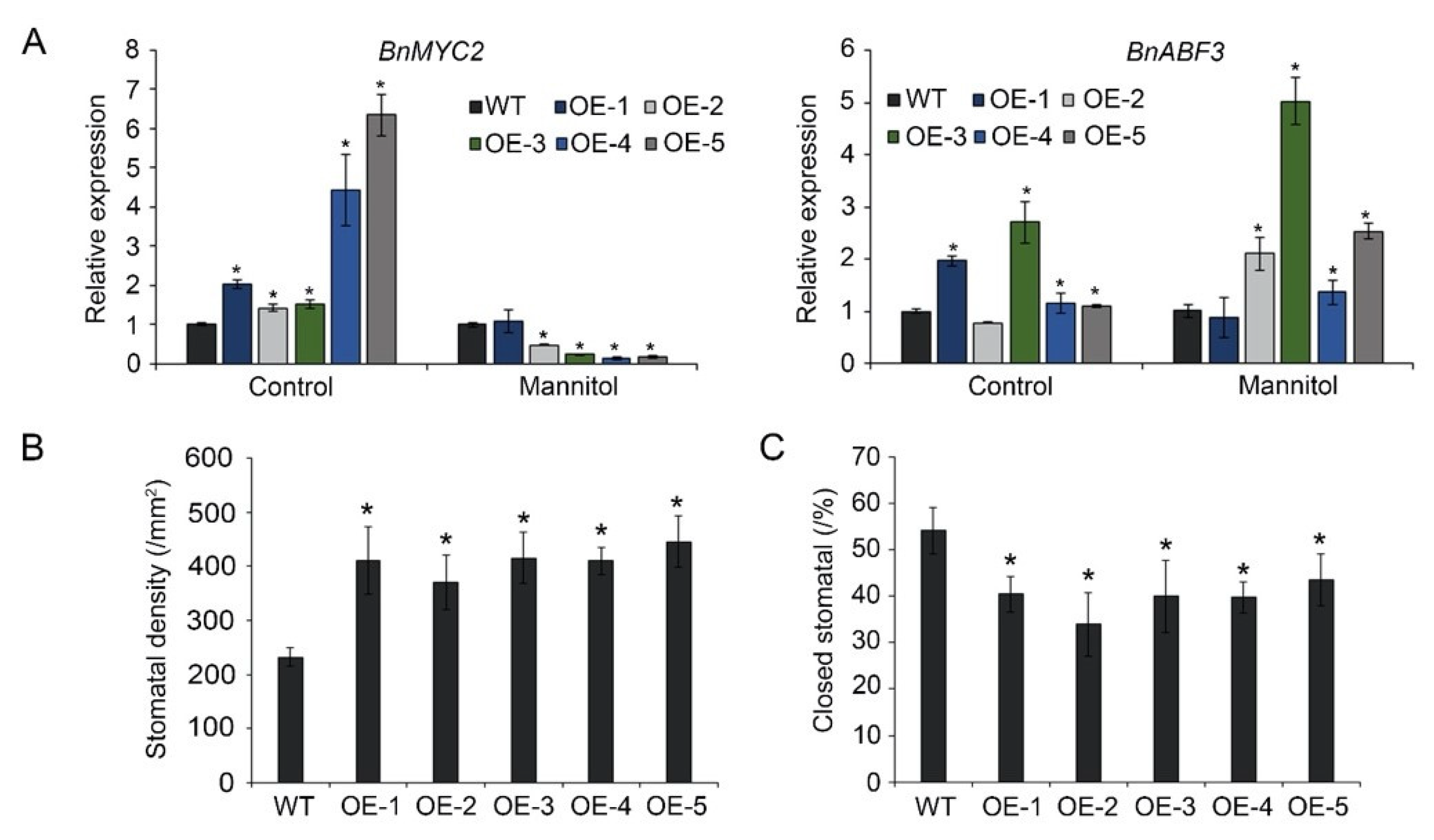 Horticulturae 08 00131 g006