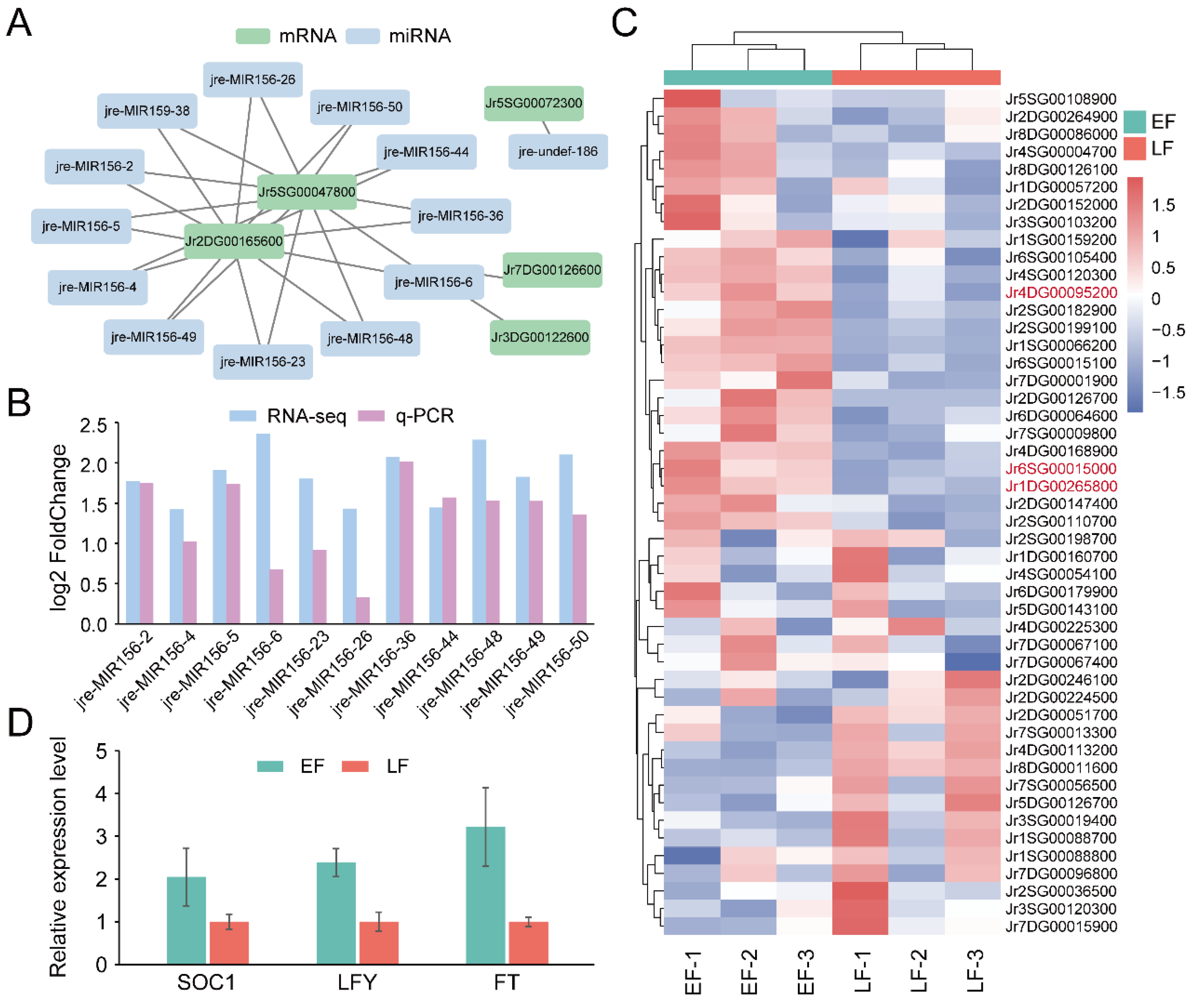 Horticulturae 08 00136 g006 Horticulturae 08 00136 g006